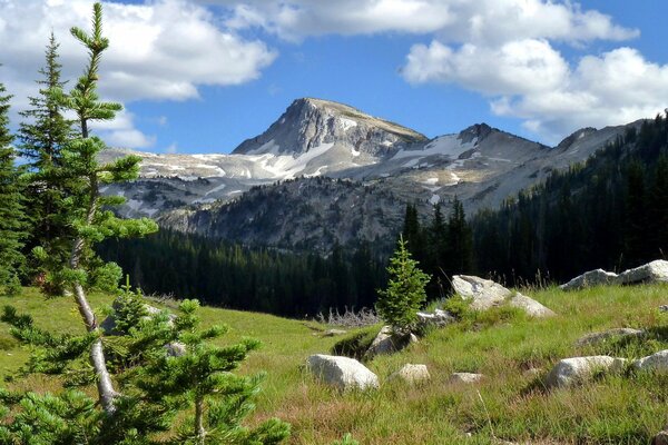 Cima verde di montagna tra le nuvole