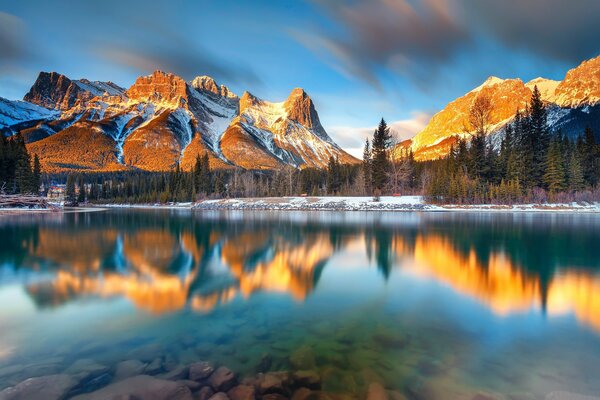 Cielo mattina foresta lago