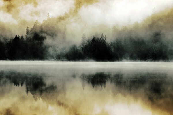 Reflection of the misty forest in the lake