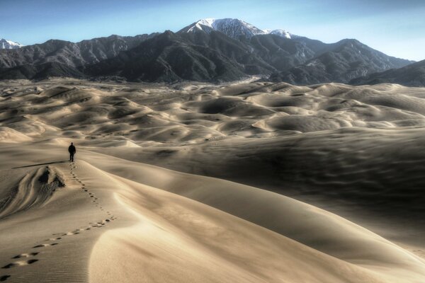 Grandes dunas de arena en el parque nacional