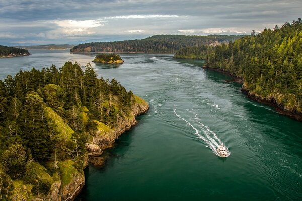 Natura las rzeka Whidbey Island