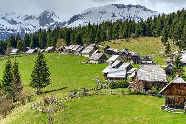 Ein Dorf in einer Ebene mit einem Waldrand