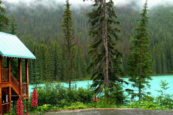 Schöne Aussicht vor dem Hintergrund des Yoho Nationalparks