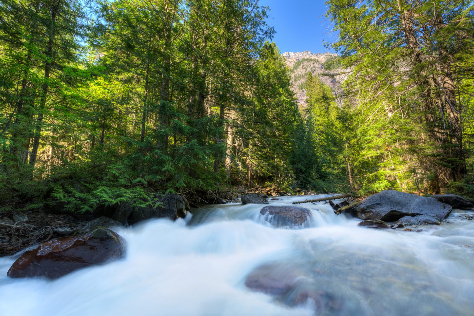 parque nacional glacier montana estados unidos cielo montañas árboles río corriente rocas bosque