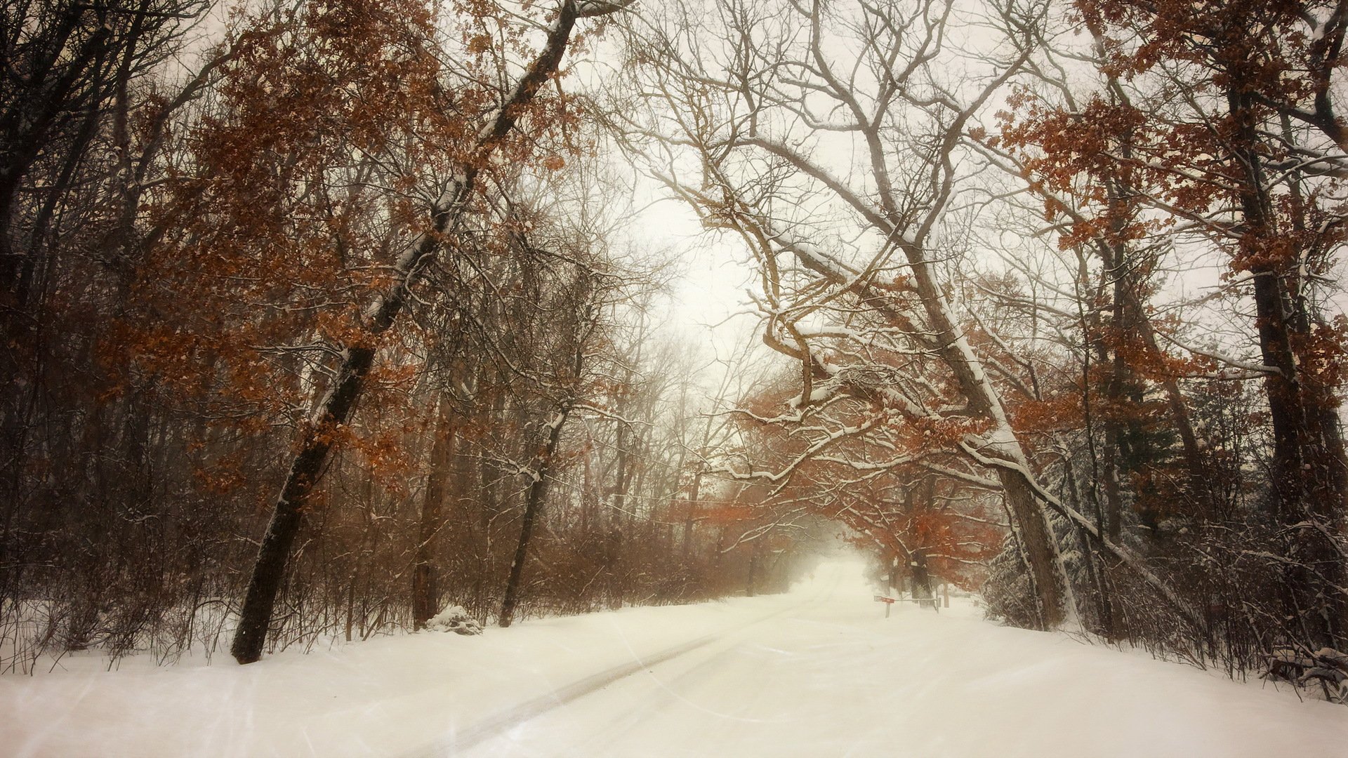 hiver route neige paysage