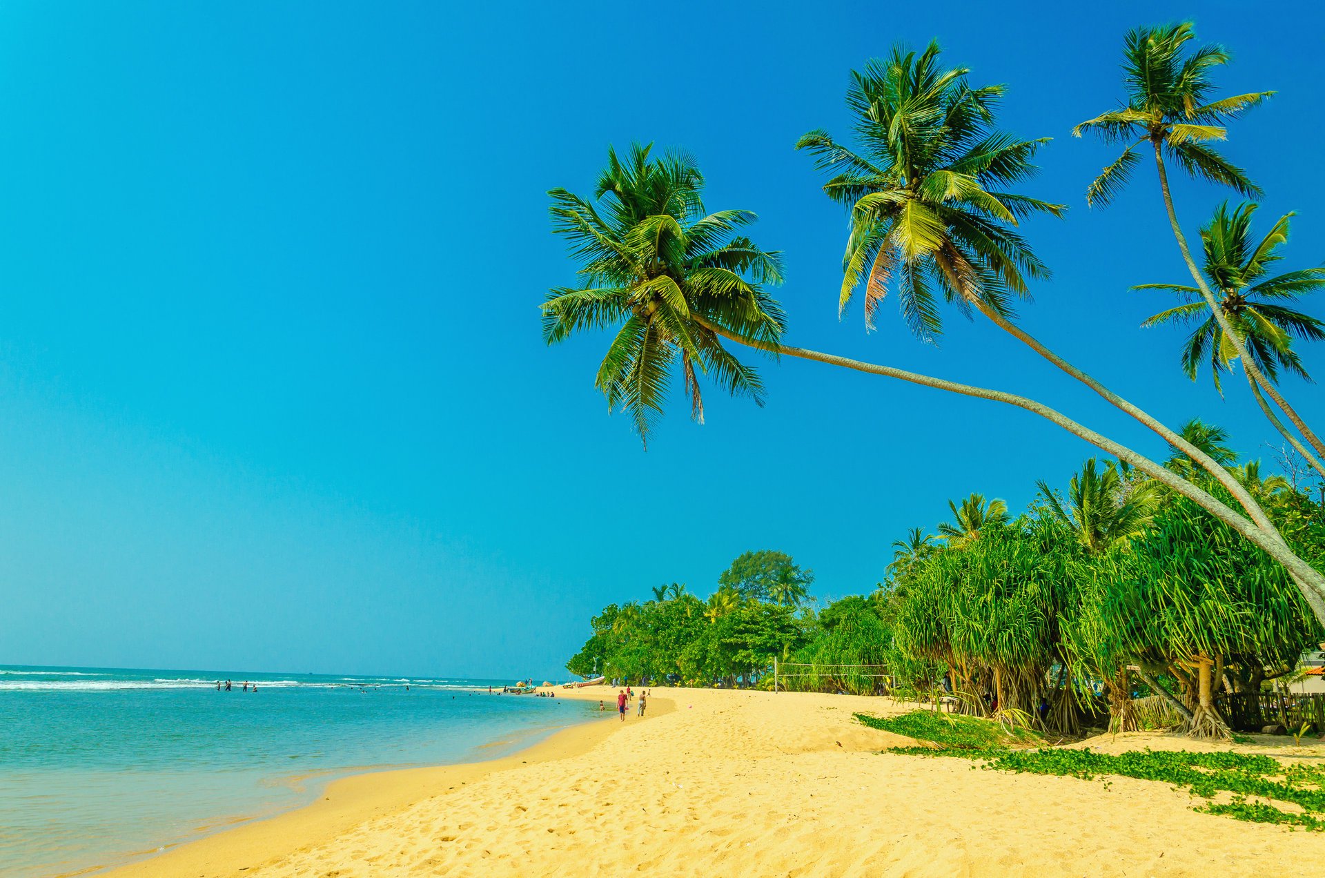 im sommer strand meer küste paradies tropisch sand palmen