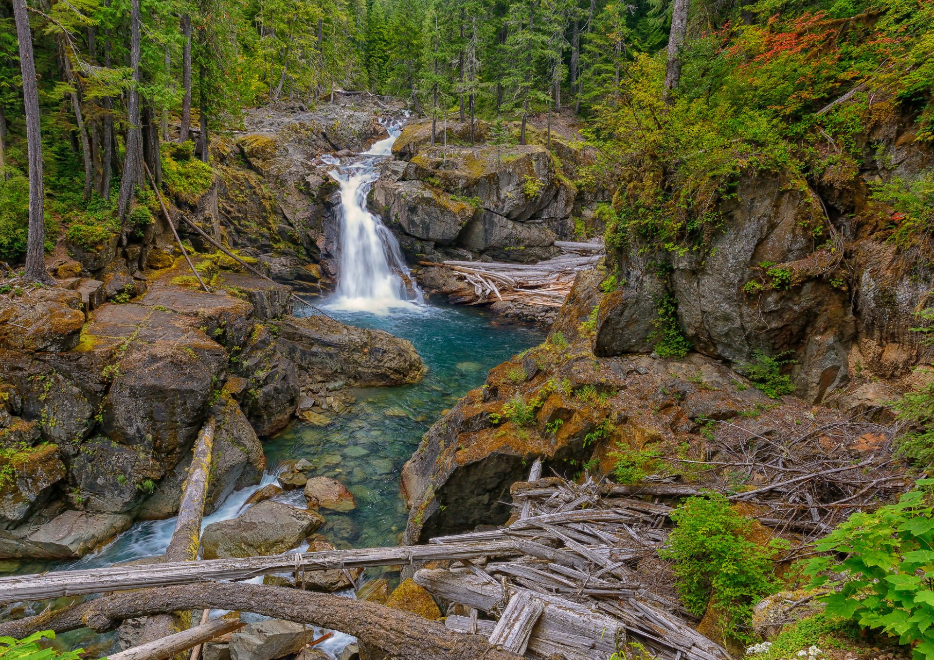 ilver falls pakwood washington cascade rivière roches forêt