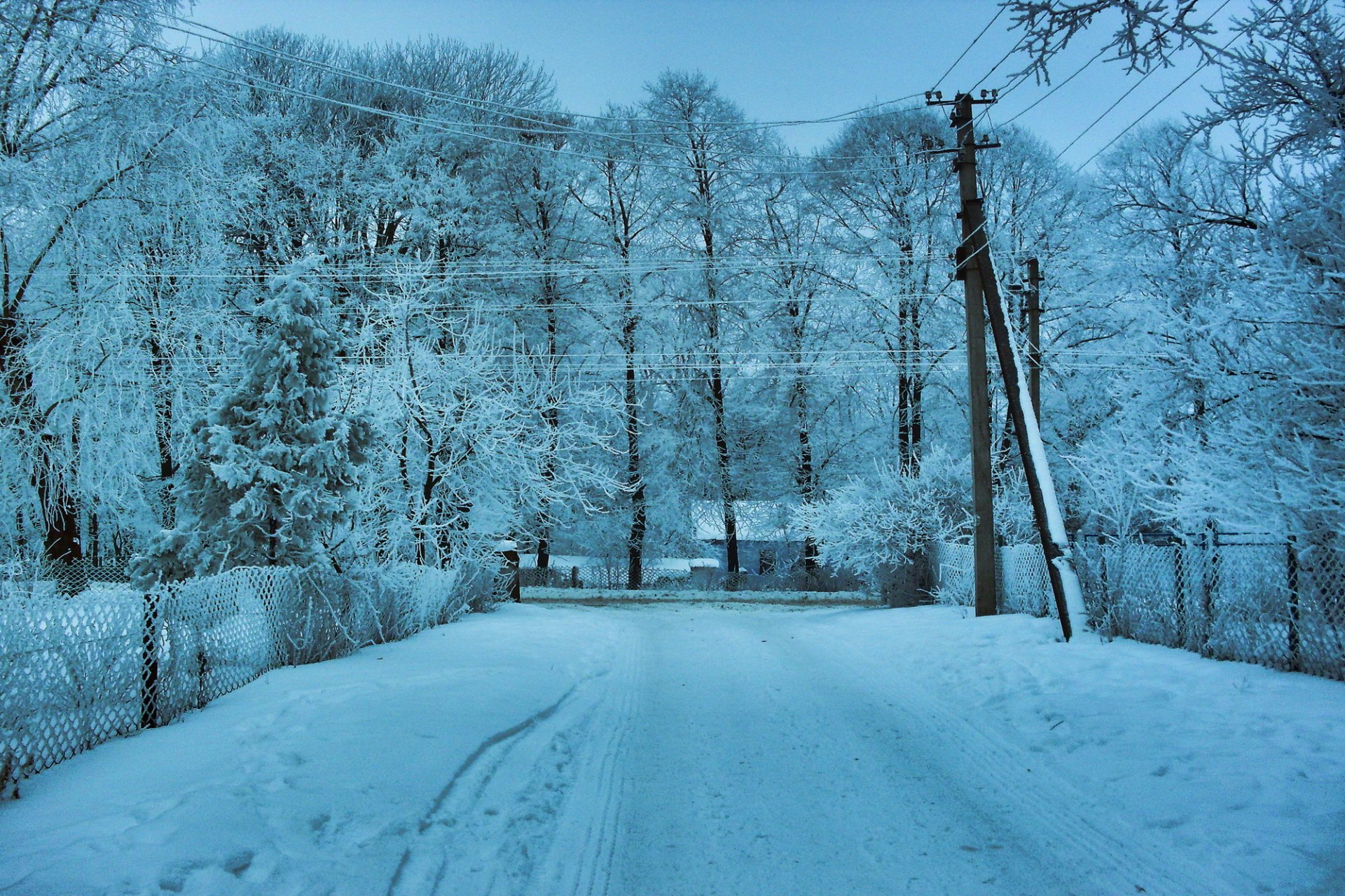 inverno neve alberi fili strada paesaggio