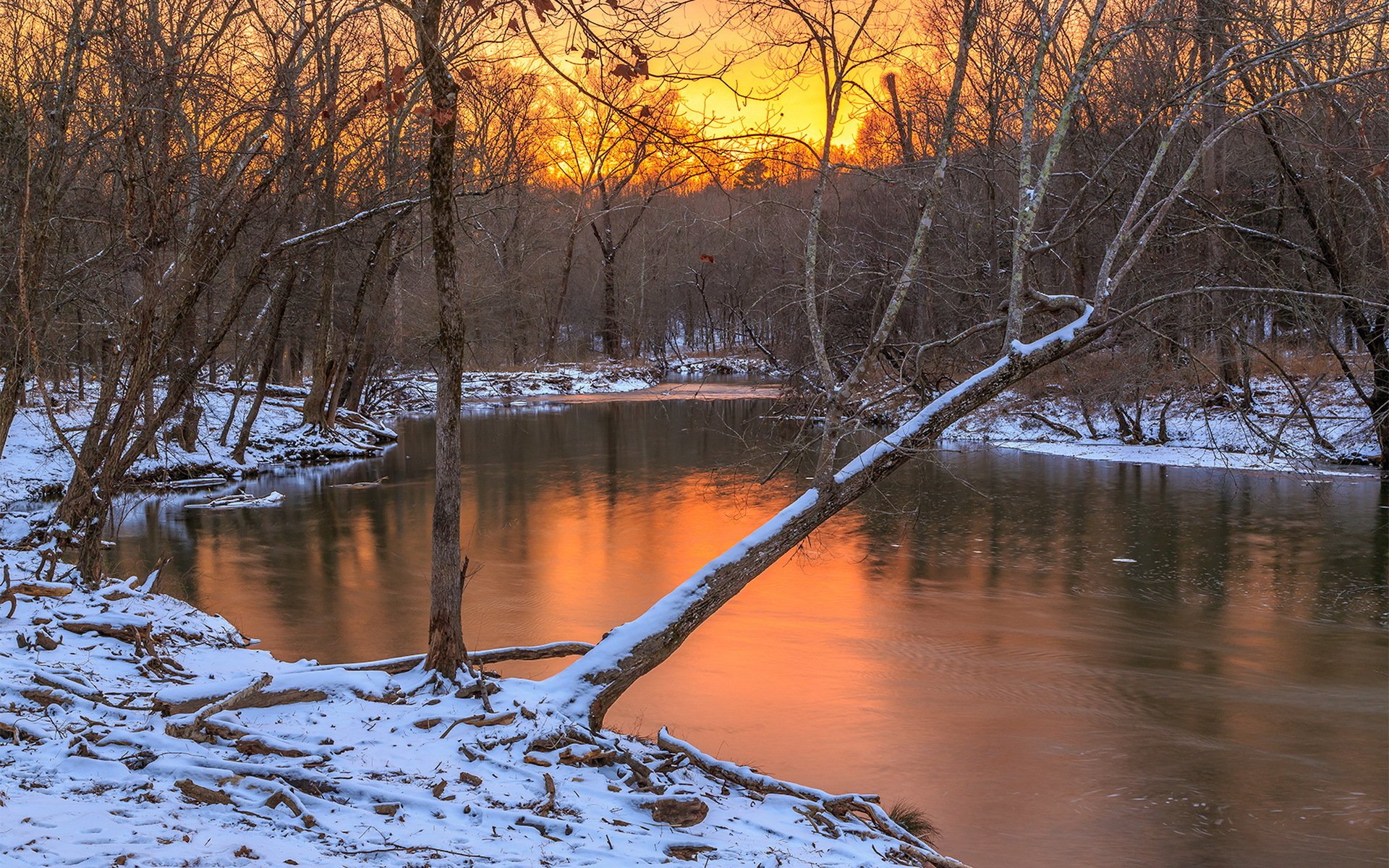 river forest winter sunset