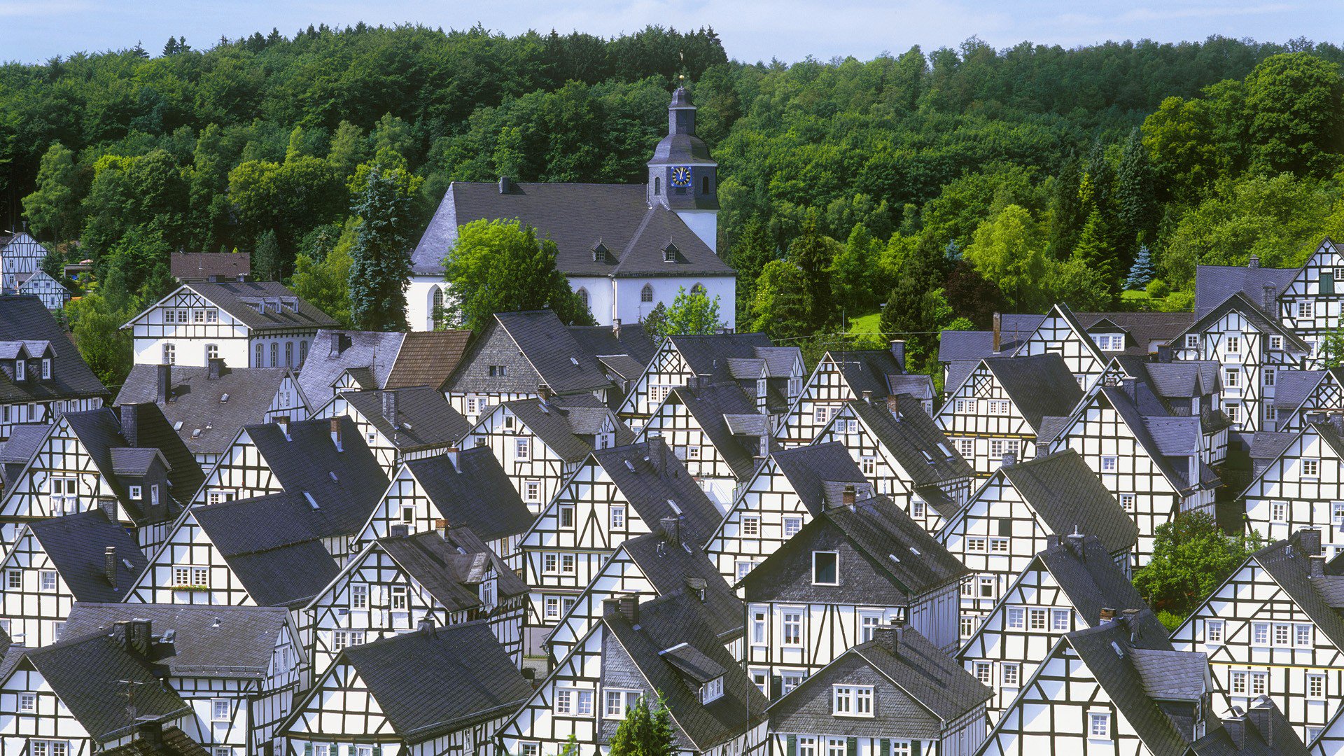 himmel stadt bäume zuhause dach rathaus turm uhr