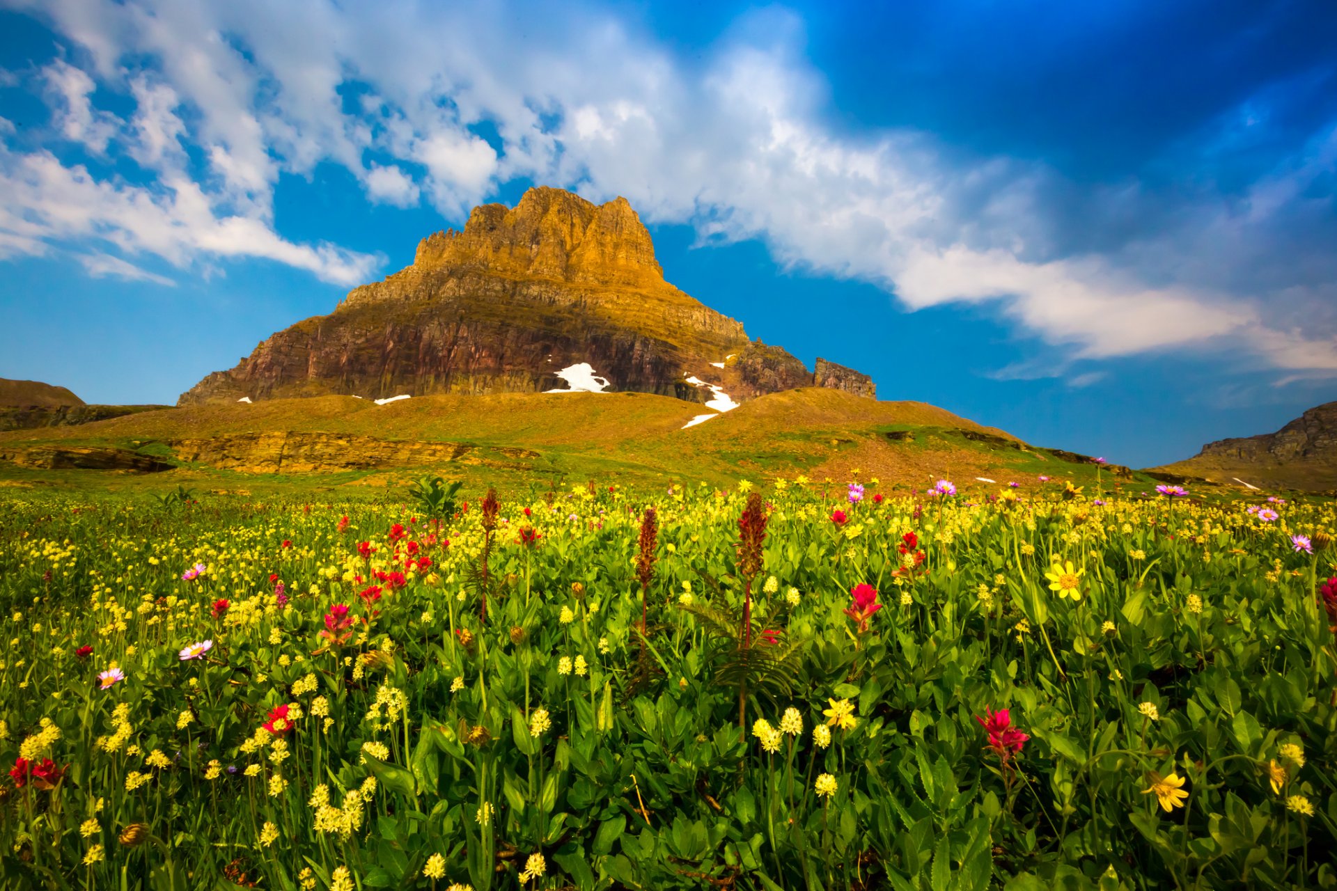 montaña valle flores plantas cielo nubes