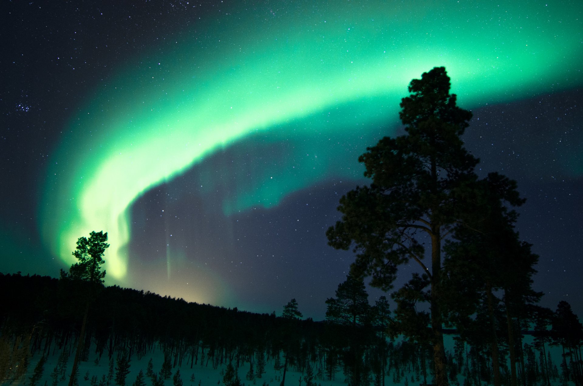 finlandia noche cielo estrellas aurora boreal árboles nieve