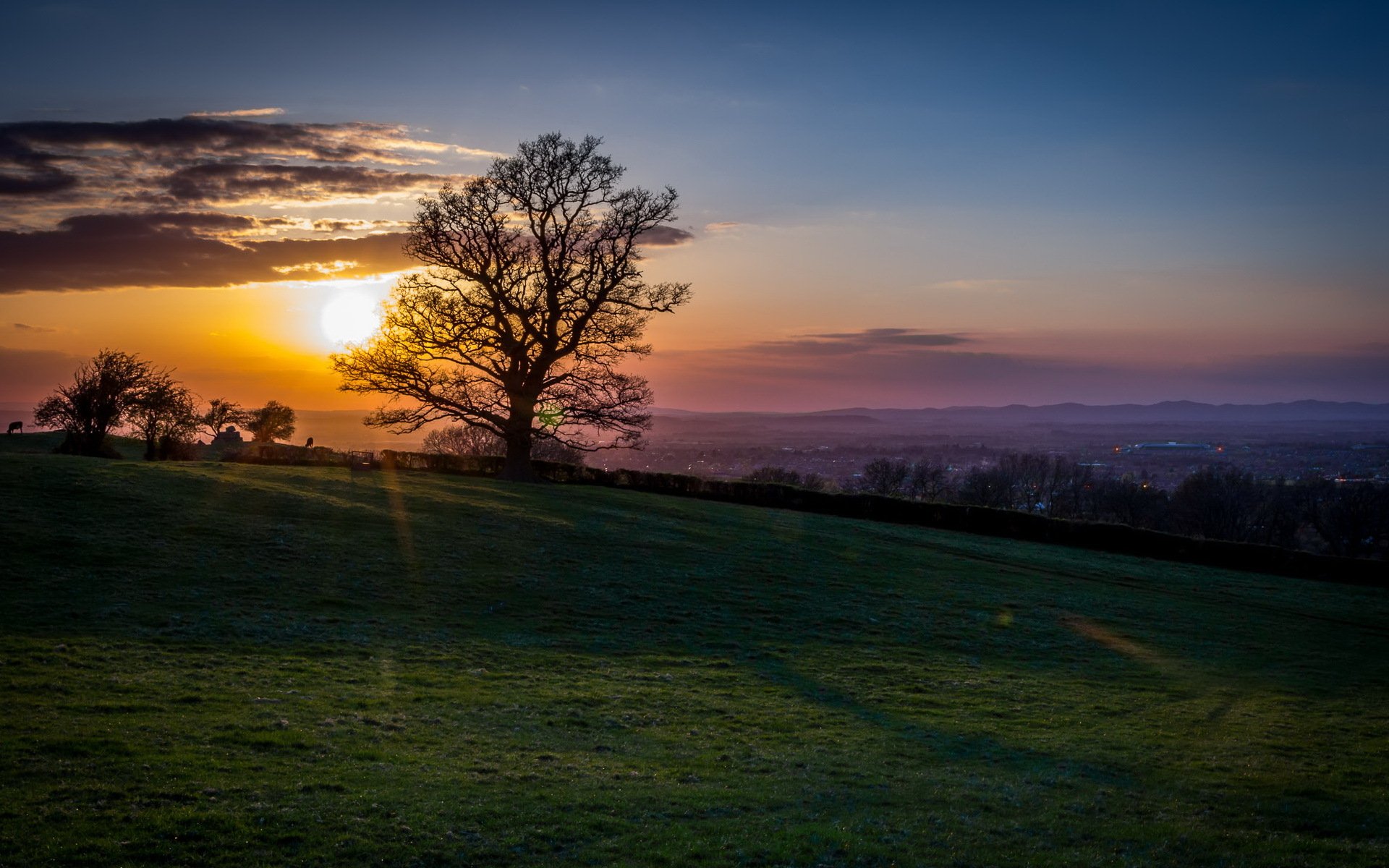 sonnenuntergang baum landschaft