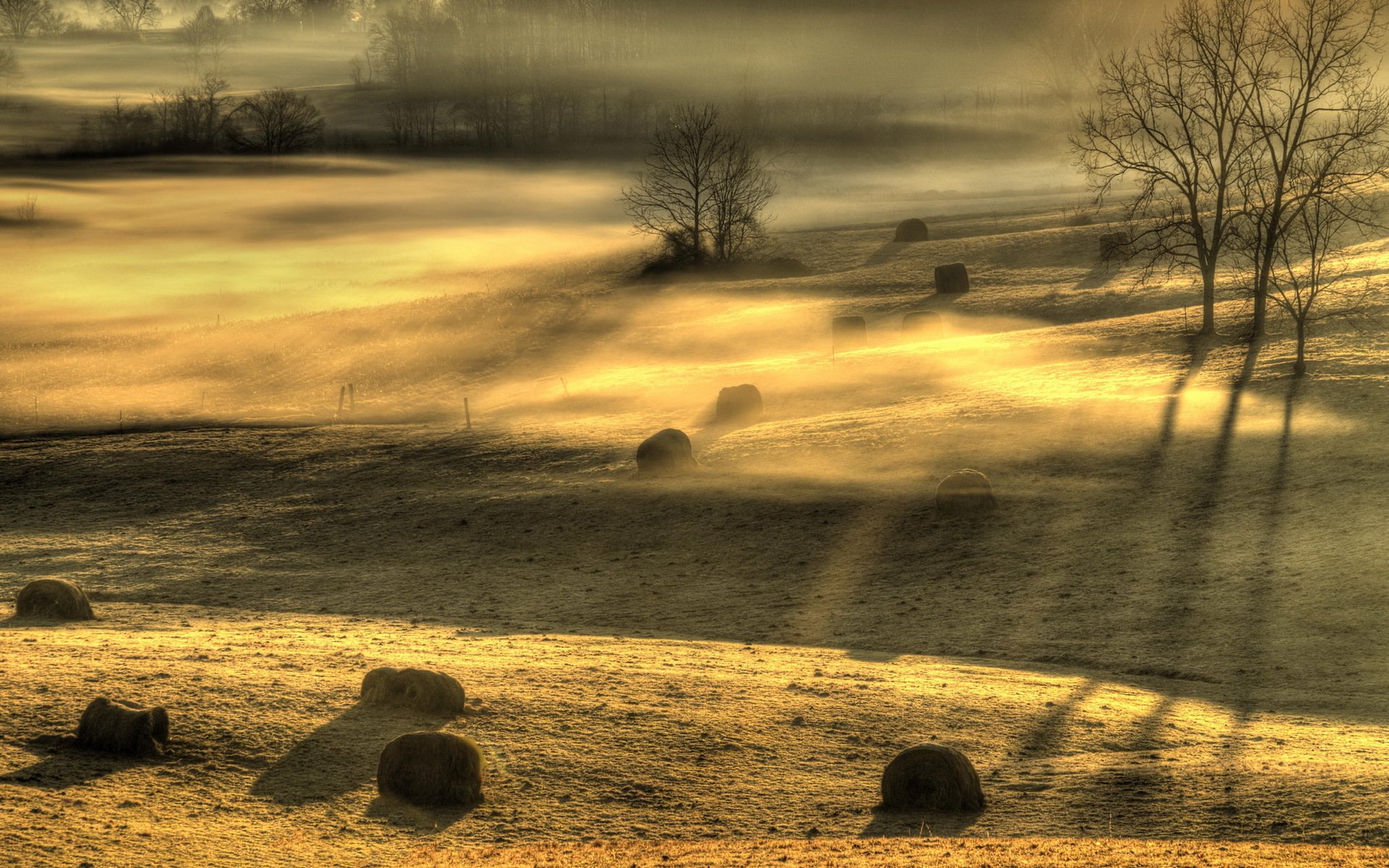 morning the field fog landscape light