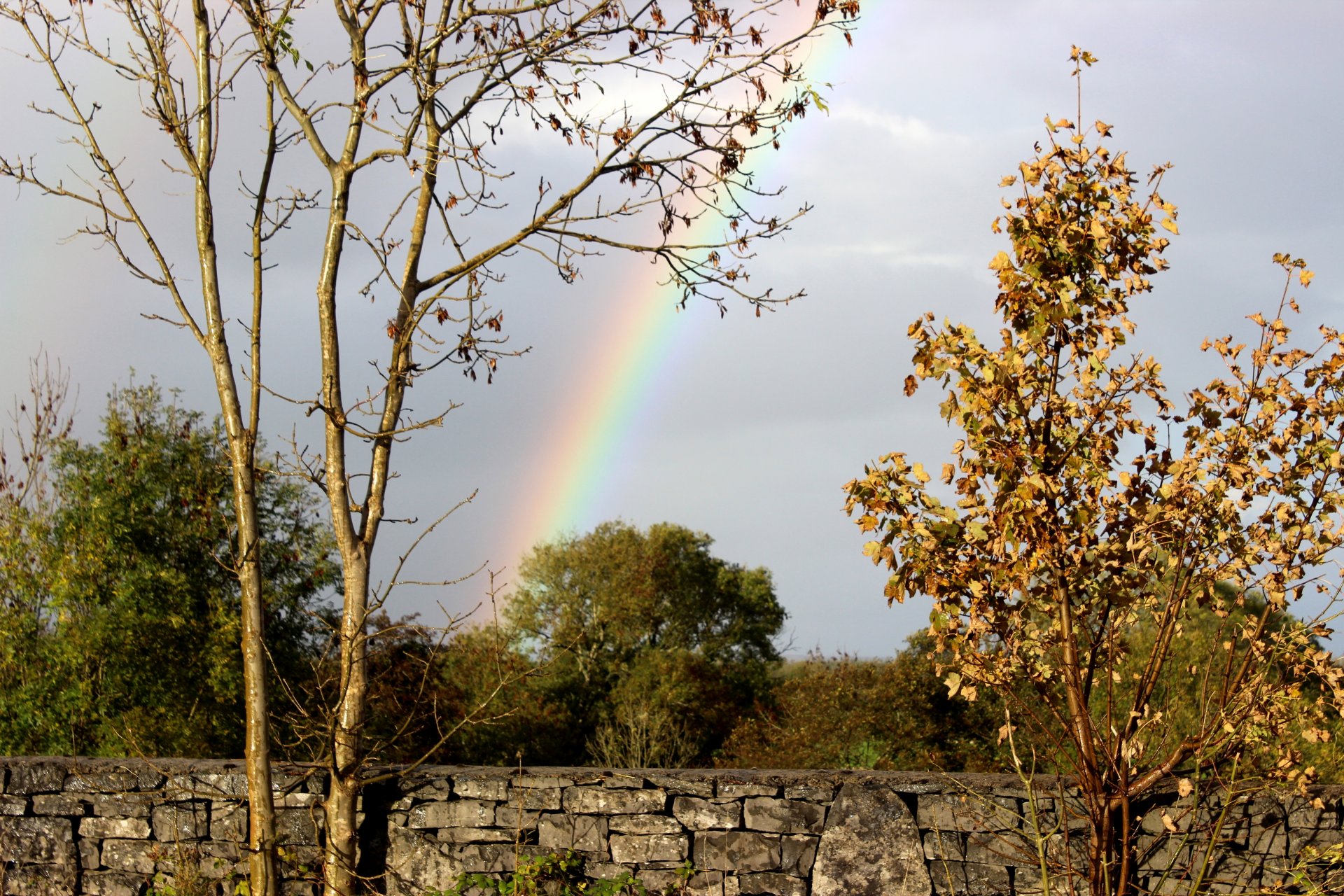 mur pierre arbres feuillage ciel arc-en-ciel