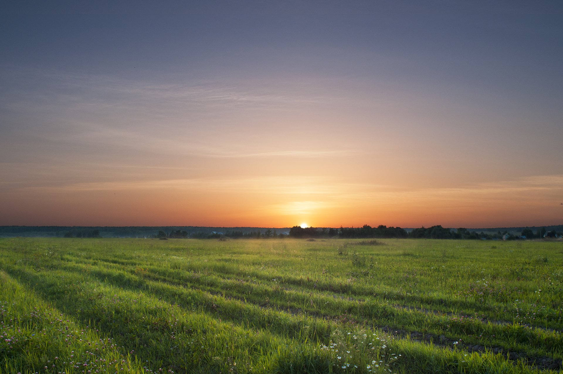 feld himmel sonnenuntergang blumen bäume dorf dorf sonne