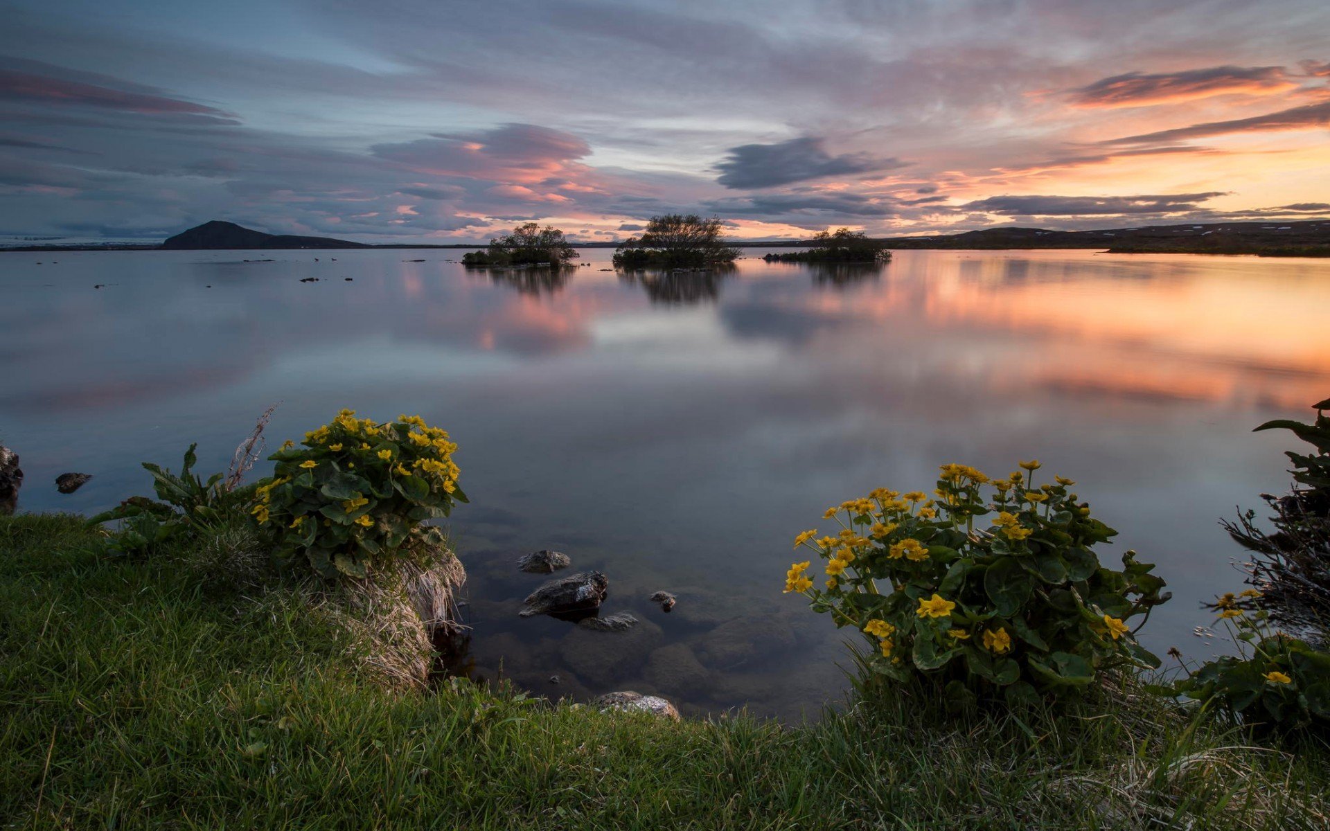 paysage côte herbe coucher de soleil horizon