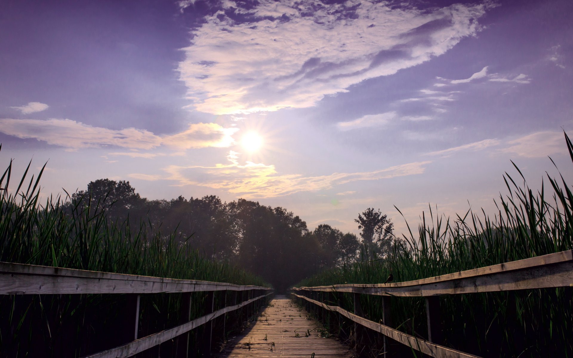 puente lago cielo paisaje