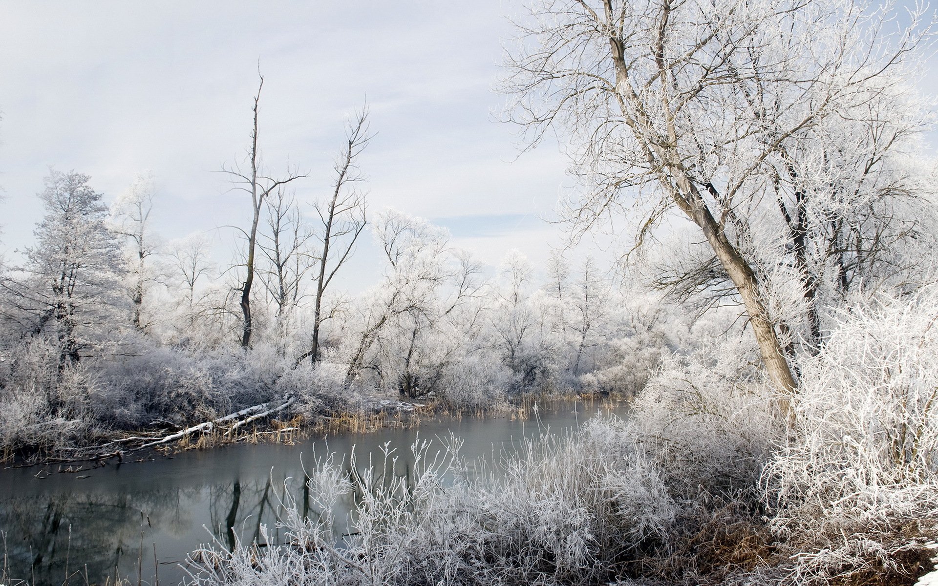 inverno natura neve fiume