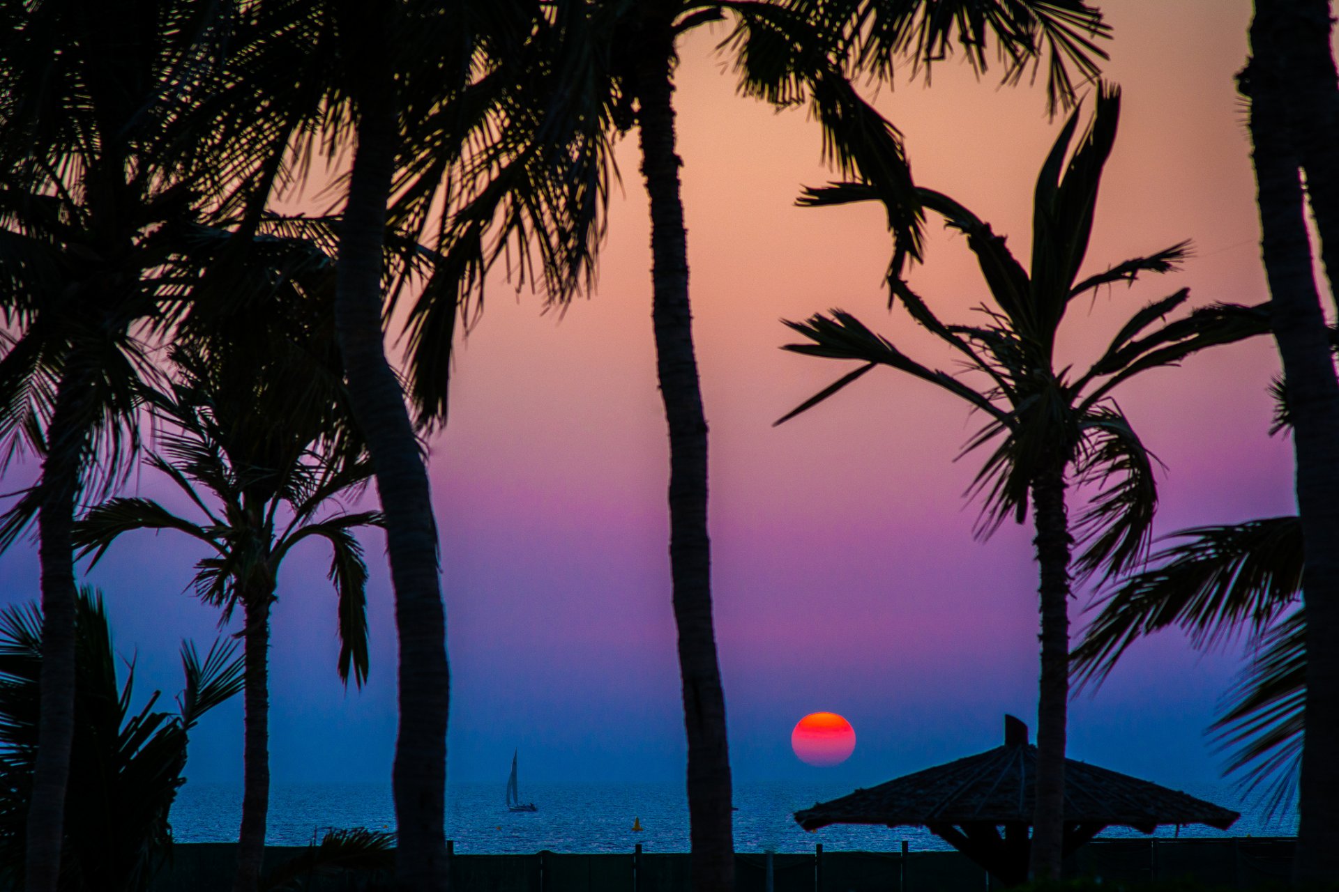 cielo mar puesta de sol sol silueta palmeras barco vela