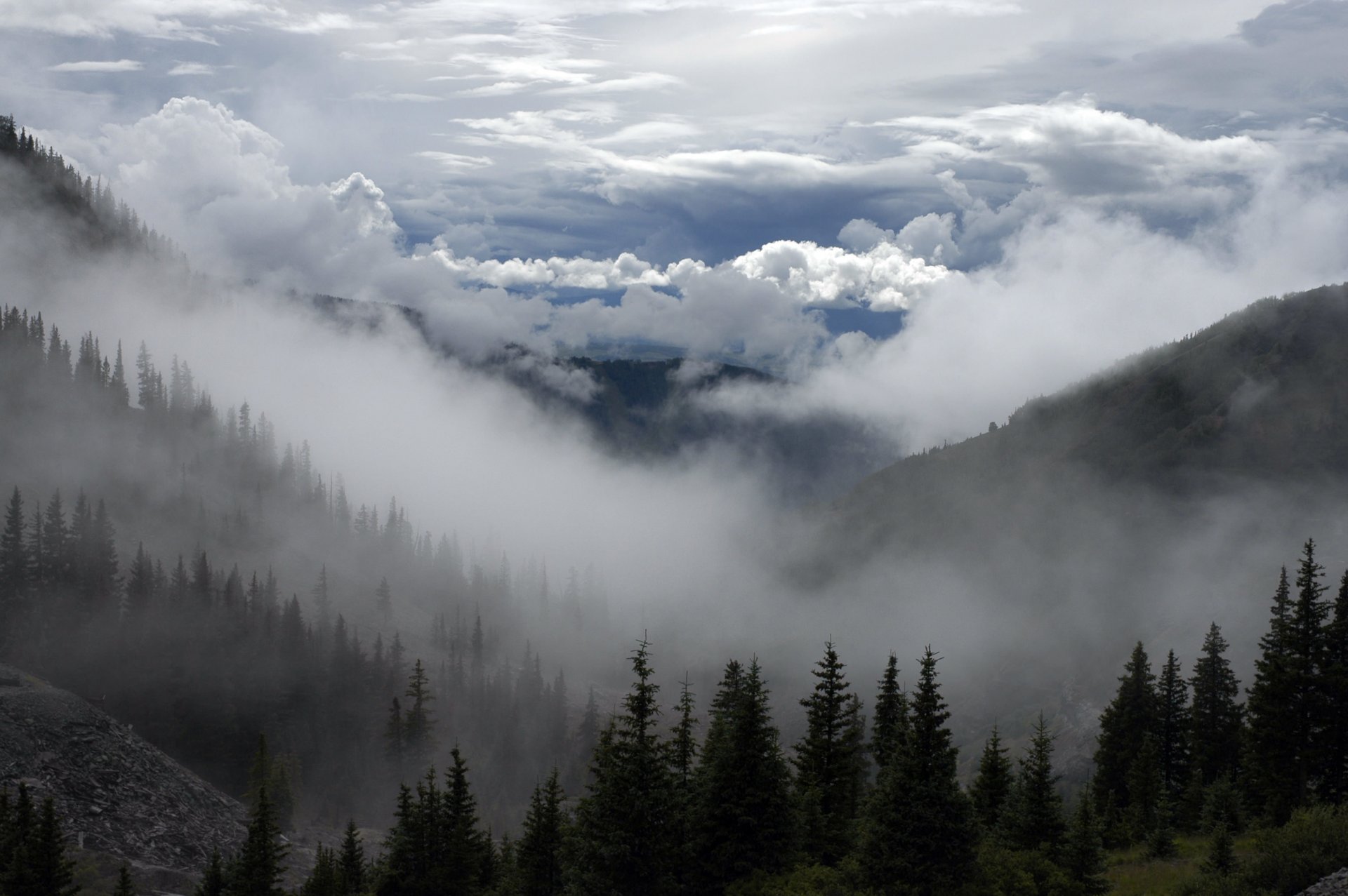 berge nebel wald