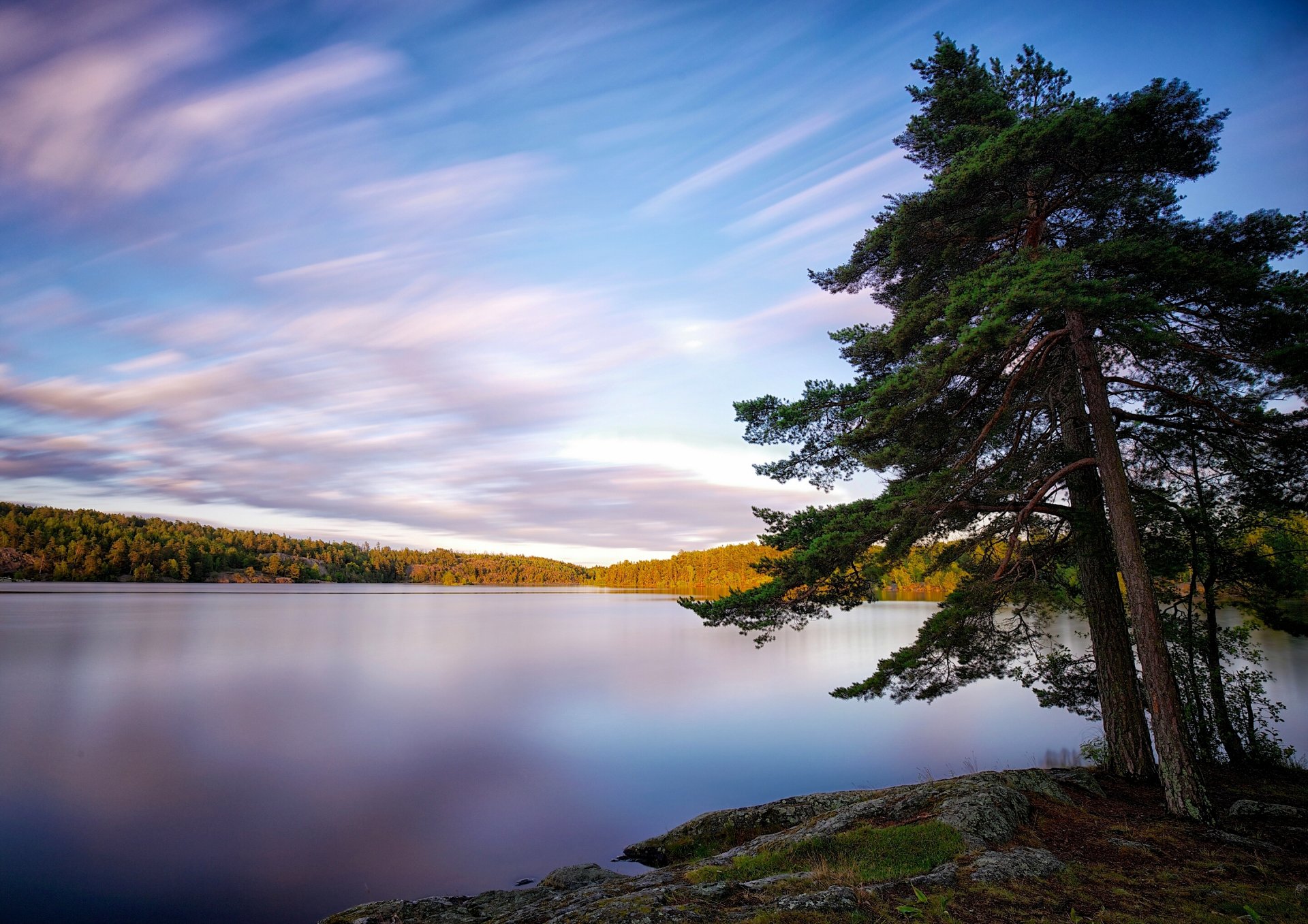 lake källtorpssjön schweden see bäume