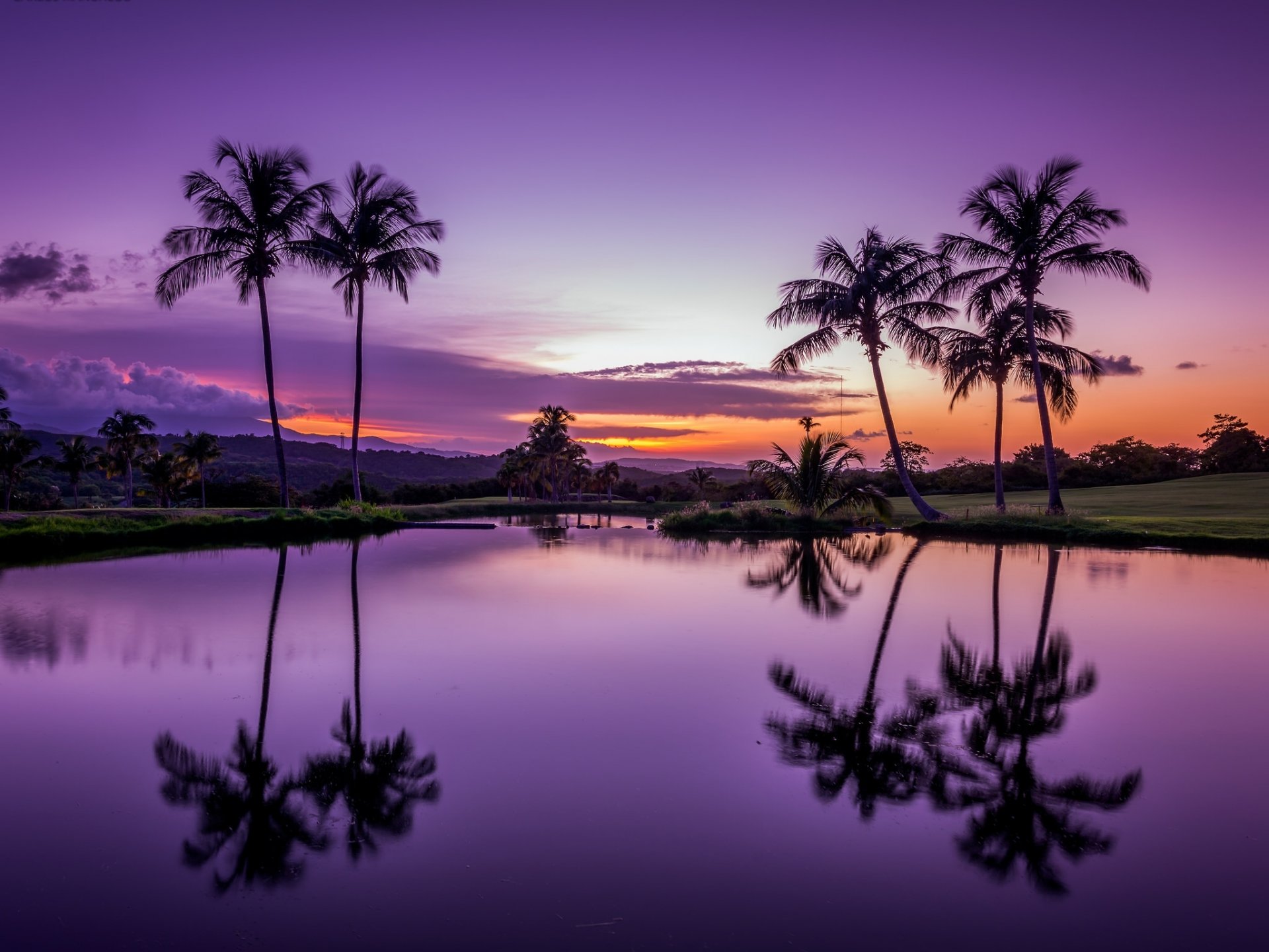 fajardo porto rico tropici palme tramonto acqua riflessione