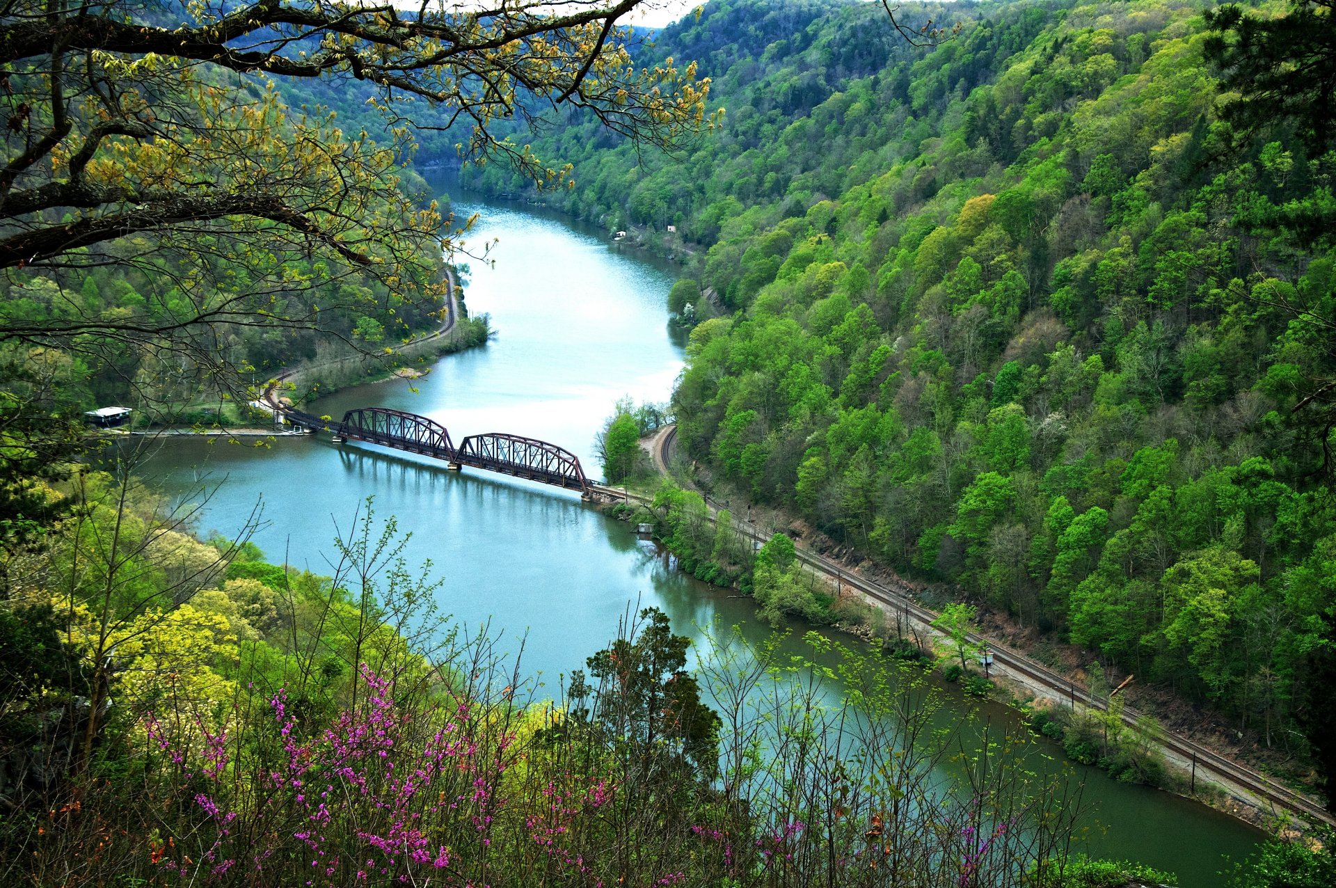 río puente montañas bosque otoño flores pendiente