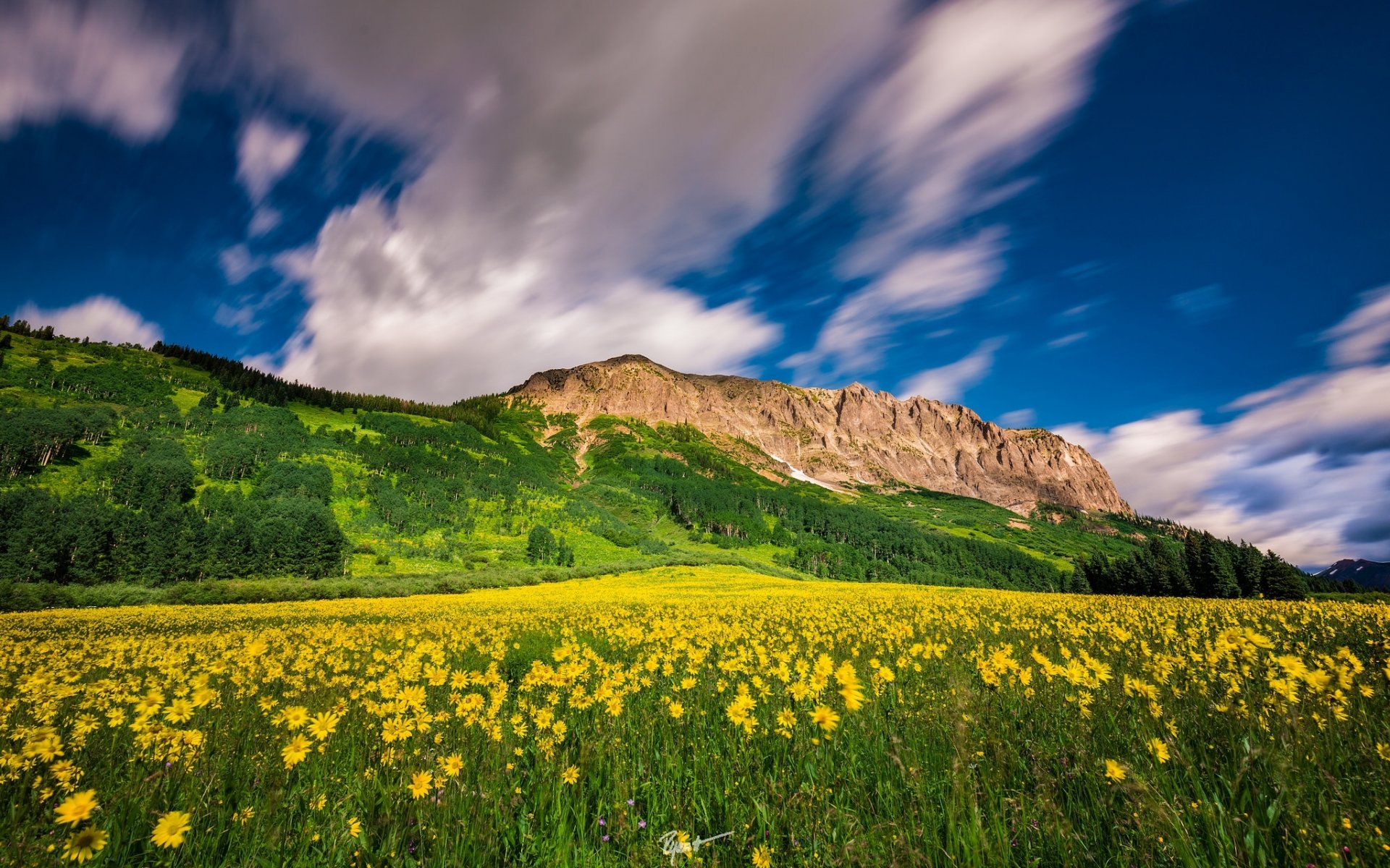 crested beat mountain resort colorado montagnes prairie fleurs nuages