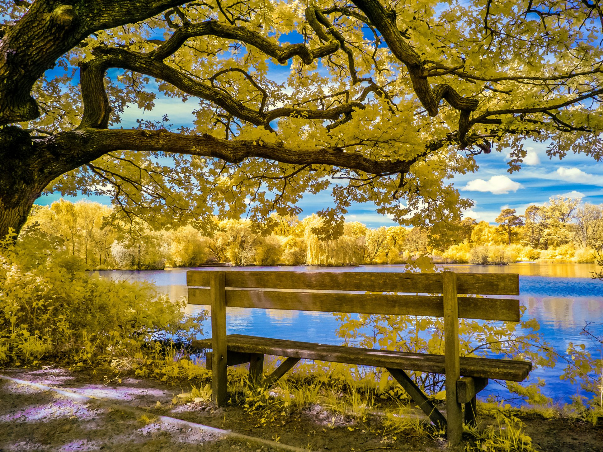 ky clouds pond park tree autumn bench