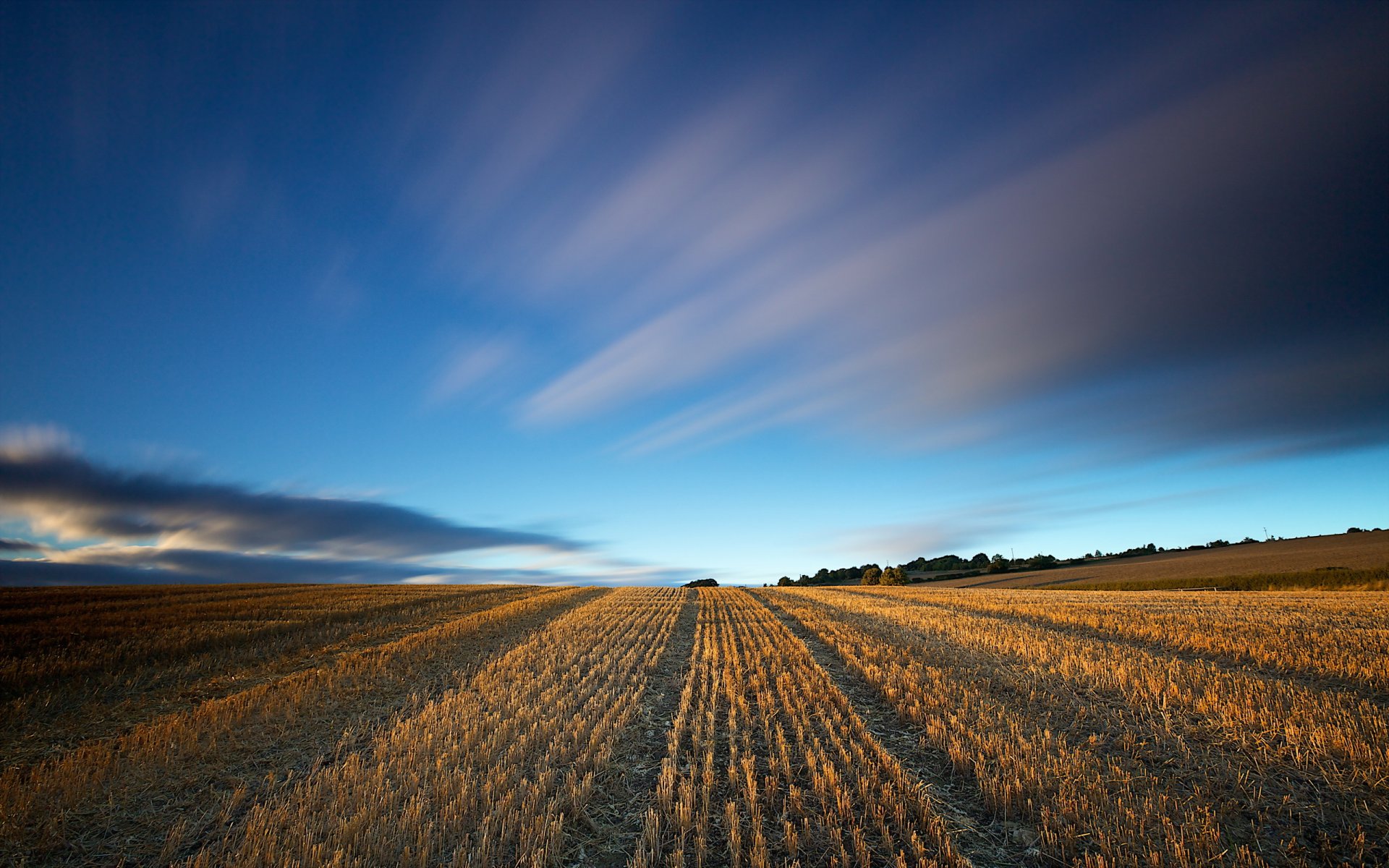 champ ciel paysage