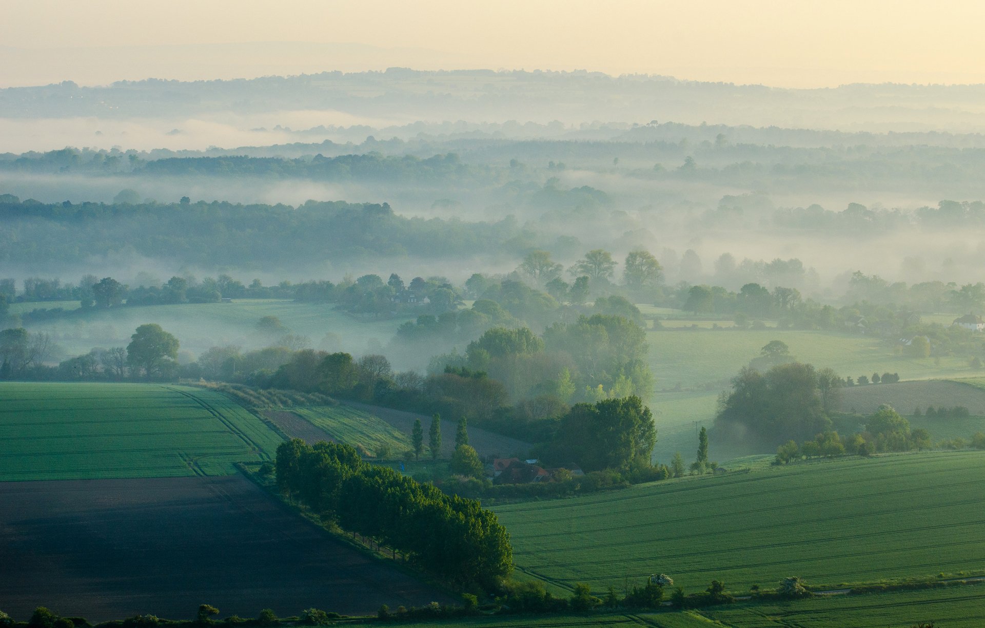 himmel morgen nebel hügel feld gras bäume