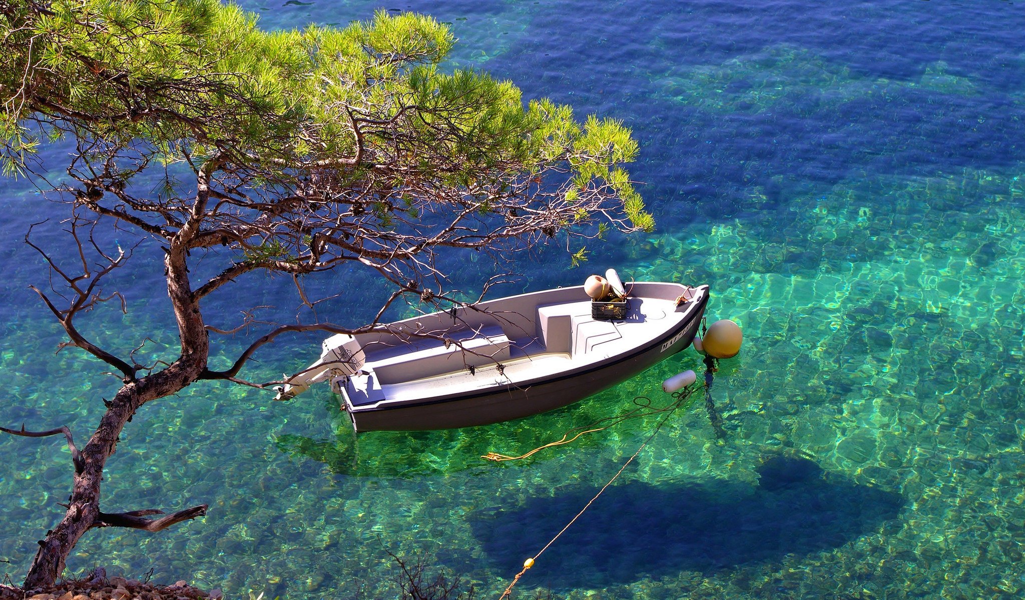 acqua trasparenza barca ombra albero baia