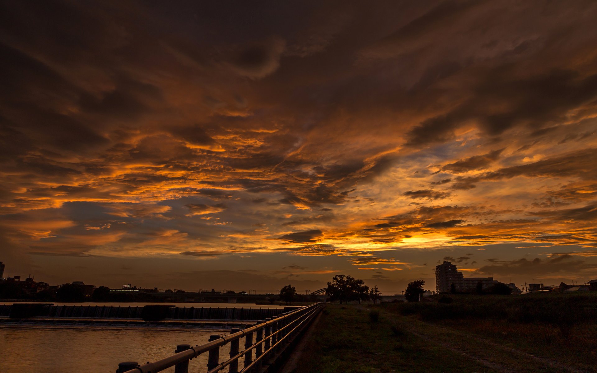 cielo nubes puesta de sol horizonte árboles silueta cuerpo de agua