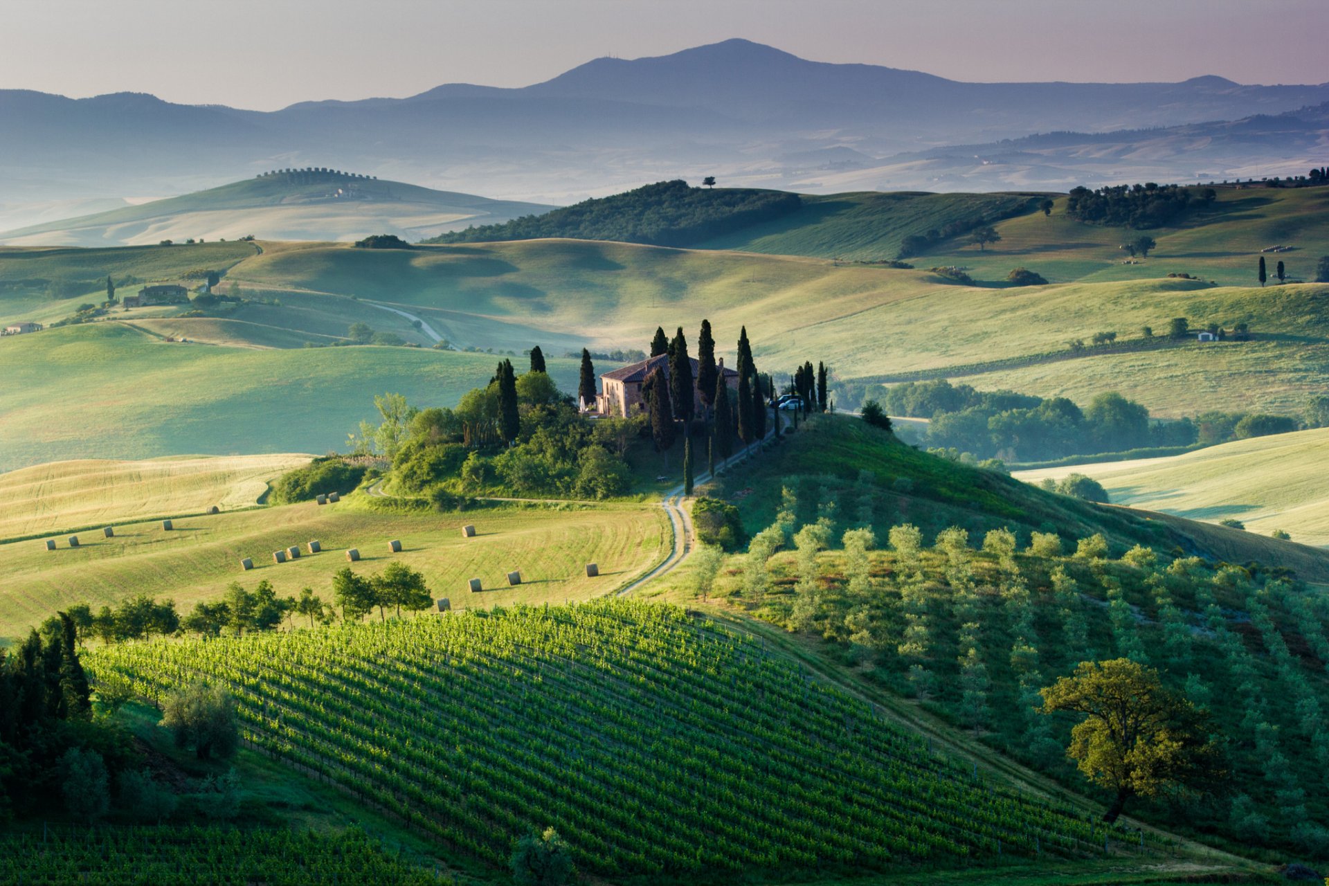 italia toscana campos viñedos árboles casa