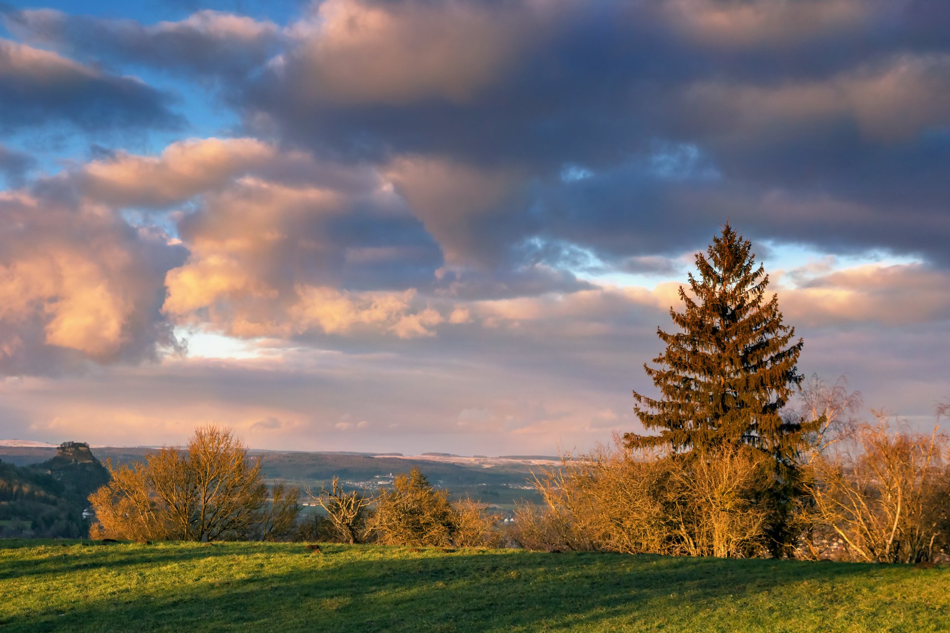 autumn tree the field sky cloud