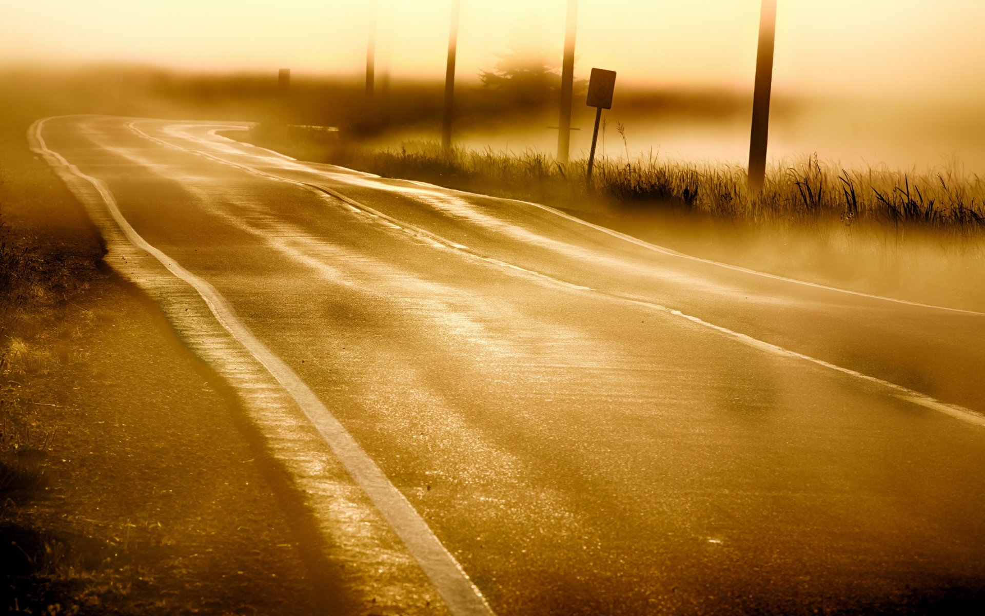 mattina nebbia strada paesaggio