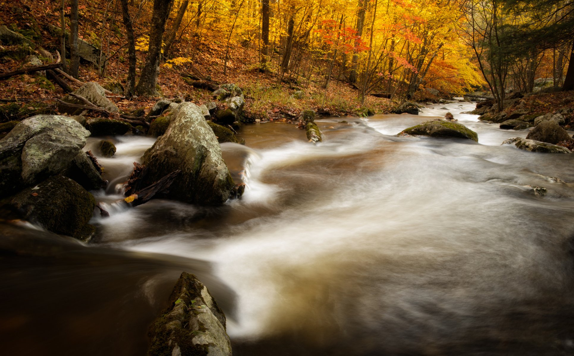 mazedonien brooke state park kent connecticut fluss herbst wald steine