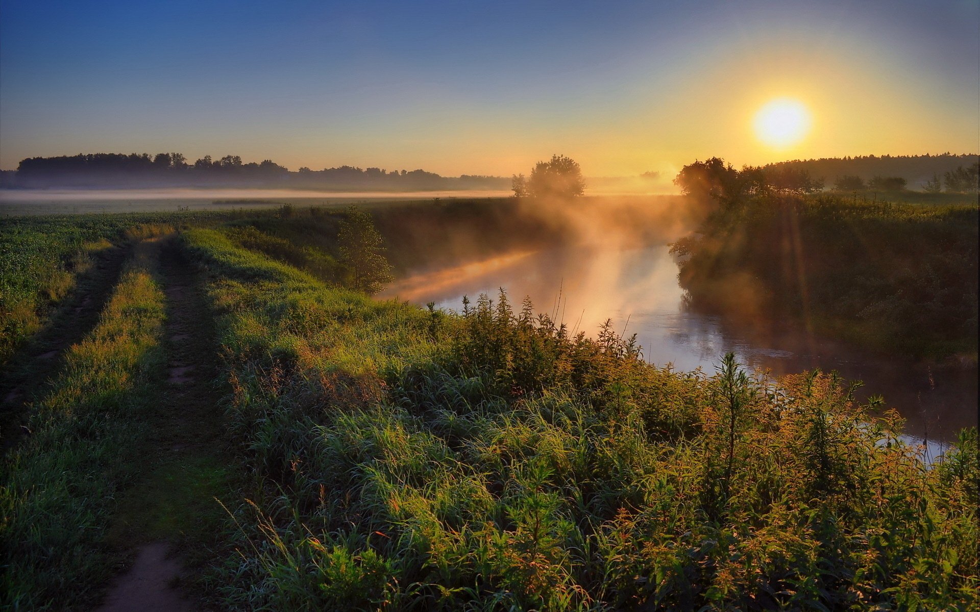 ukraine région boisée tétras rivière aube matin soleil brouillard route arbres herbe nature