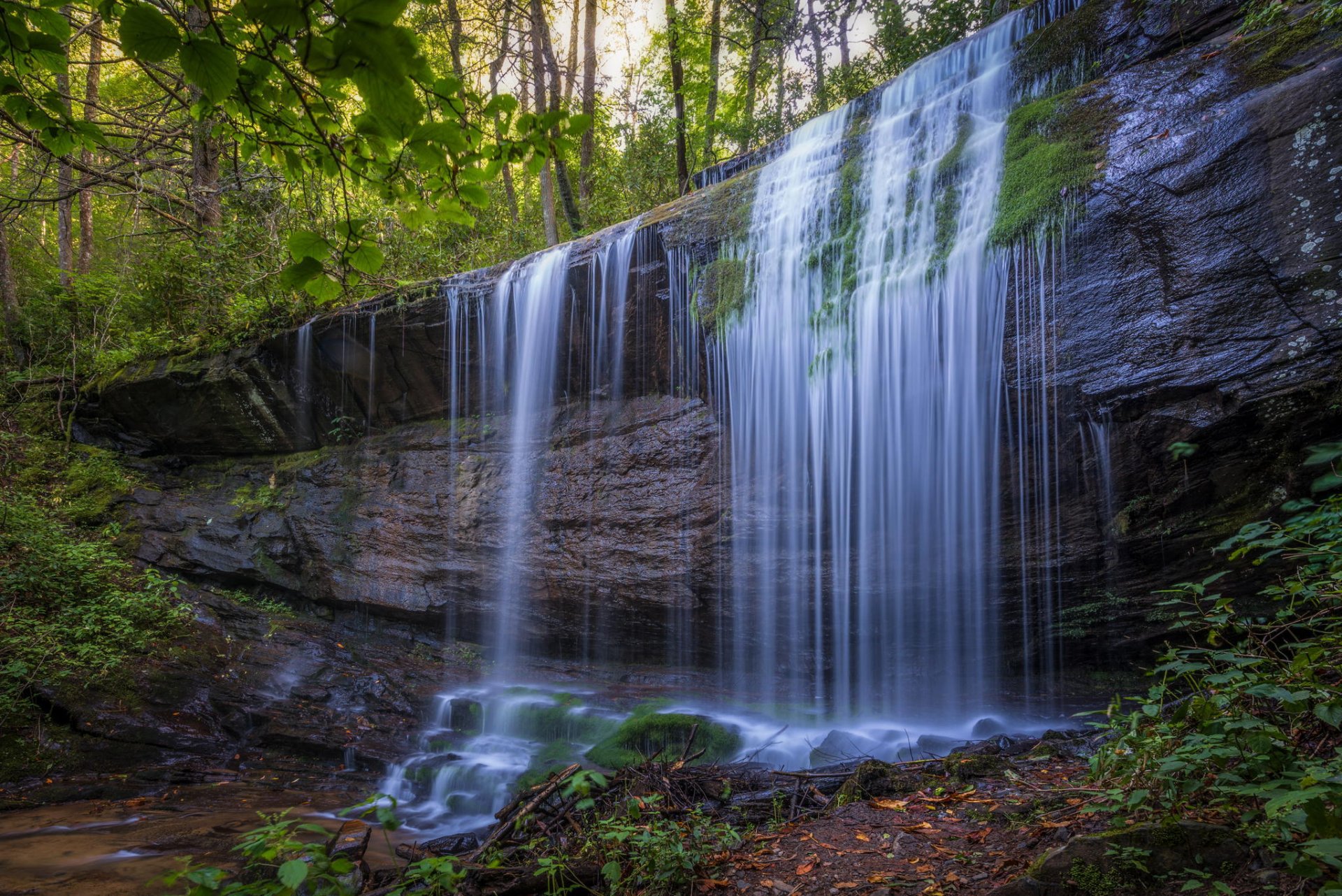 cascata roccia acqua foresta natura