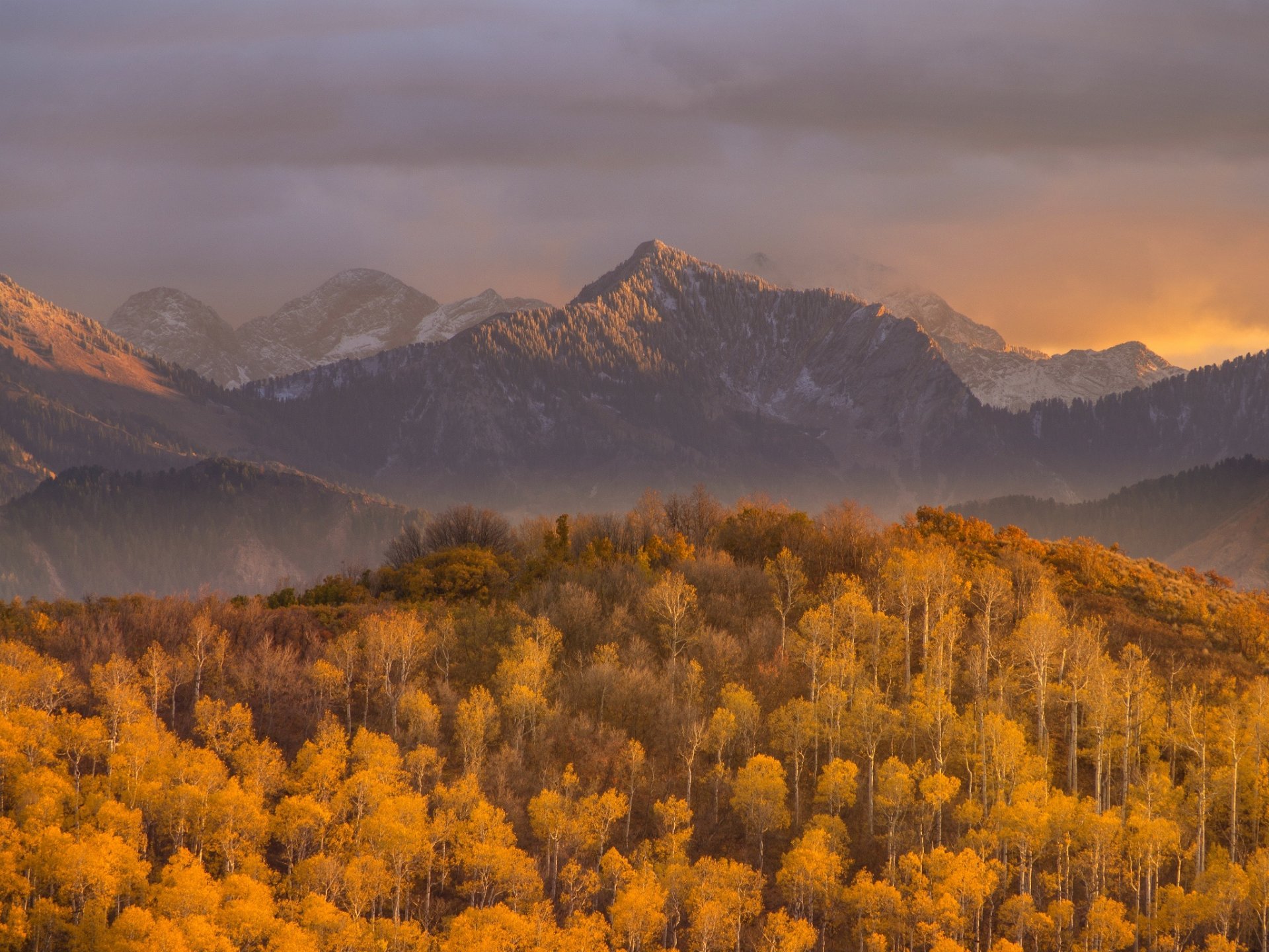 forêt montagnes automne coucher de soleil nature ciel nuages