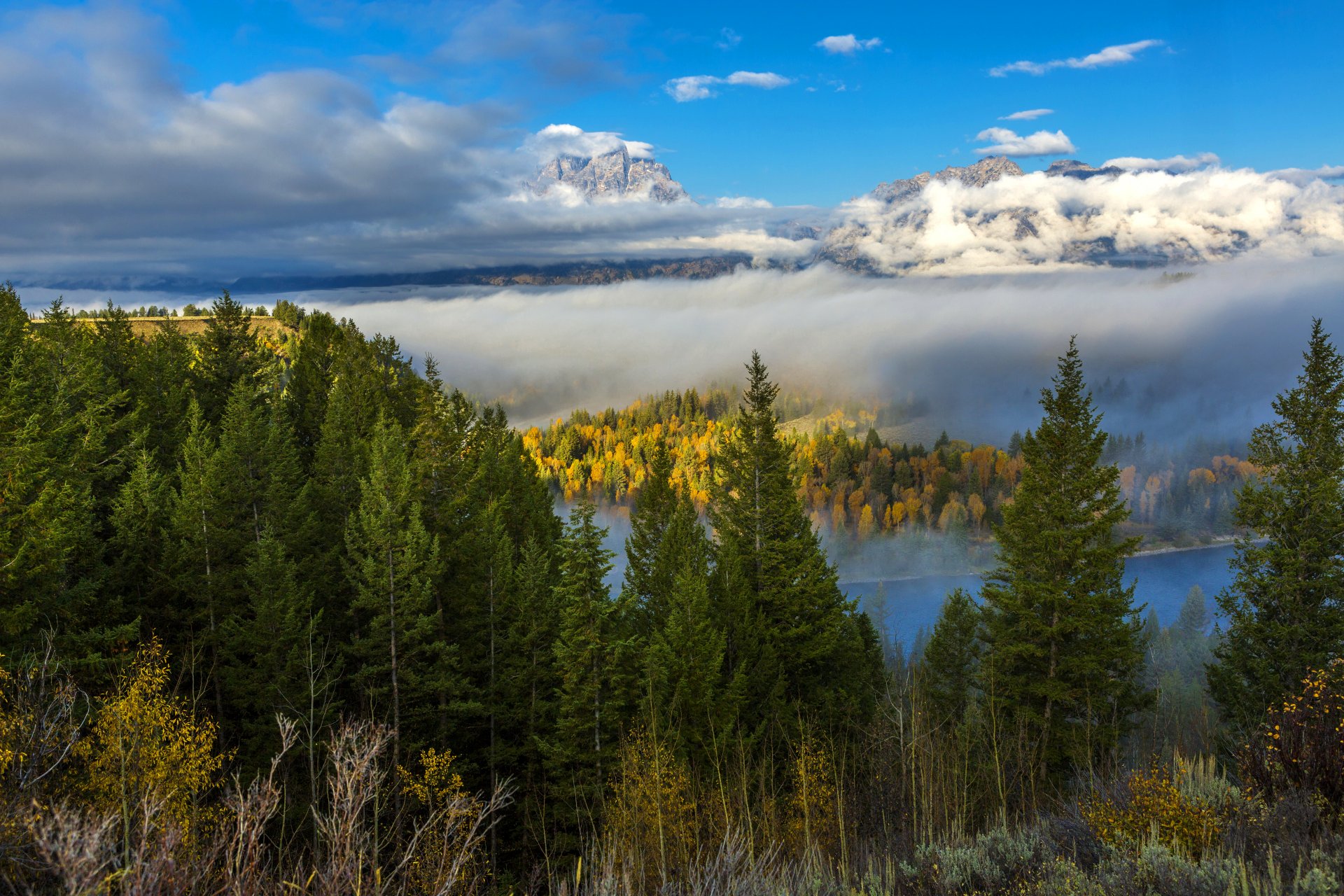 états-unis grand teton wyoming forêt montagnes nuages automne rivière arbres brouillard