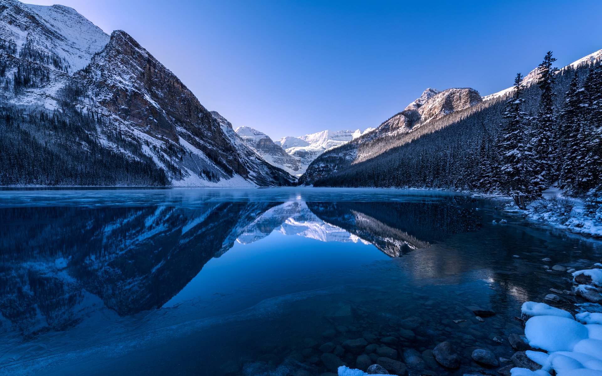 lake louise alberta canada mountain forest