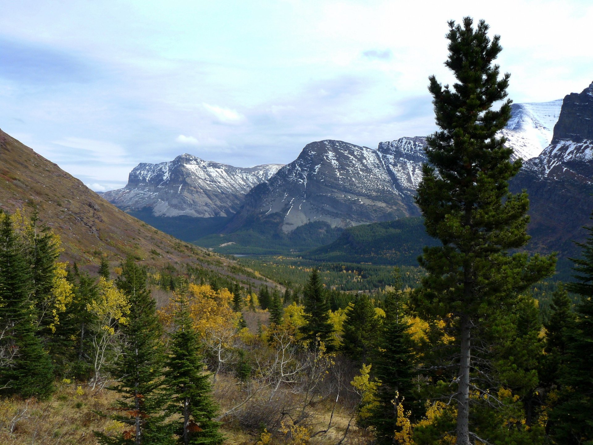 parc états-unis montagnes paysage glacier du montana arbres nature photo