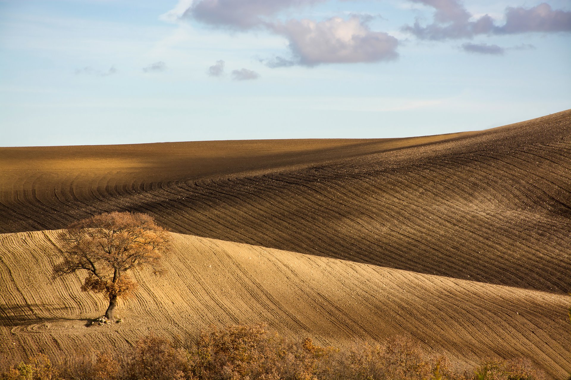 italia monti prenestini cielo árbol campos colinas