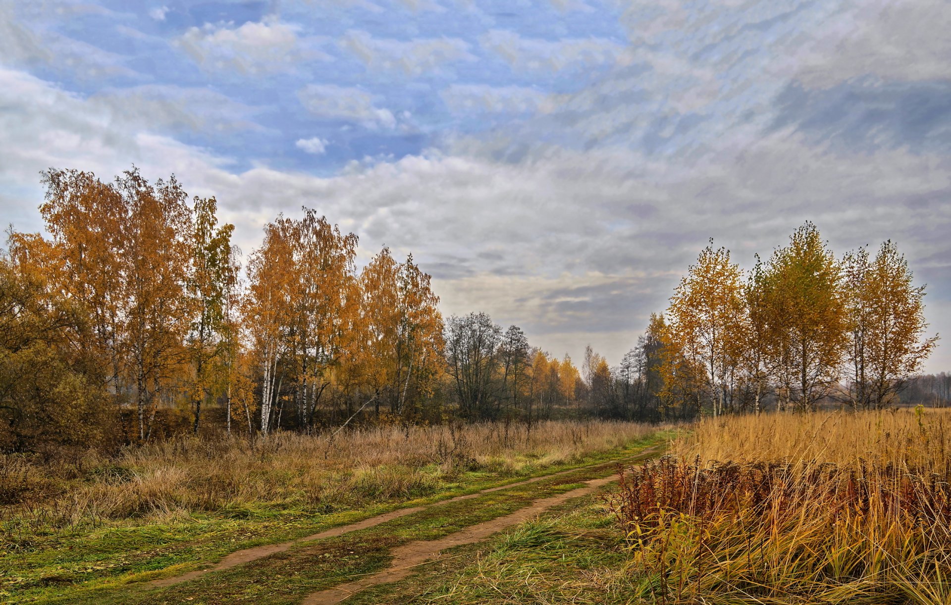 alberi autunno paesaggio periferia