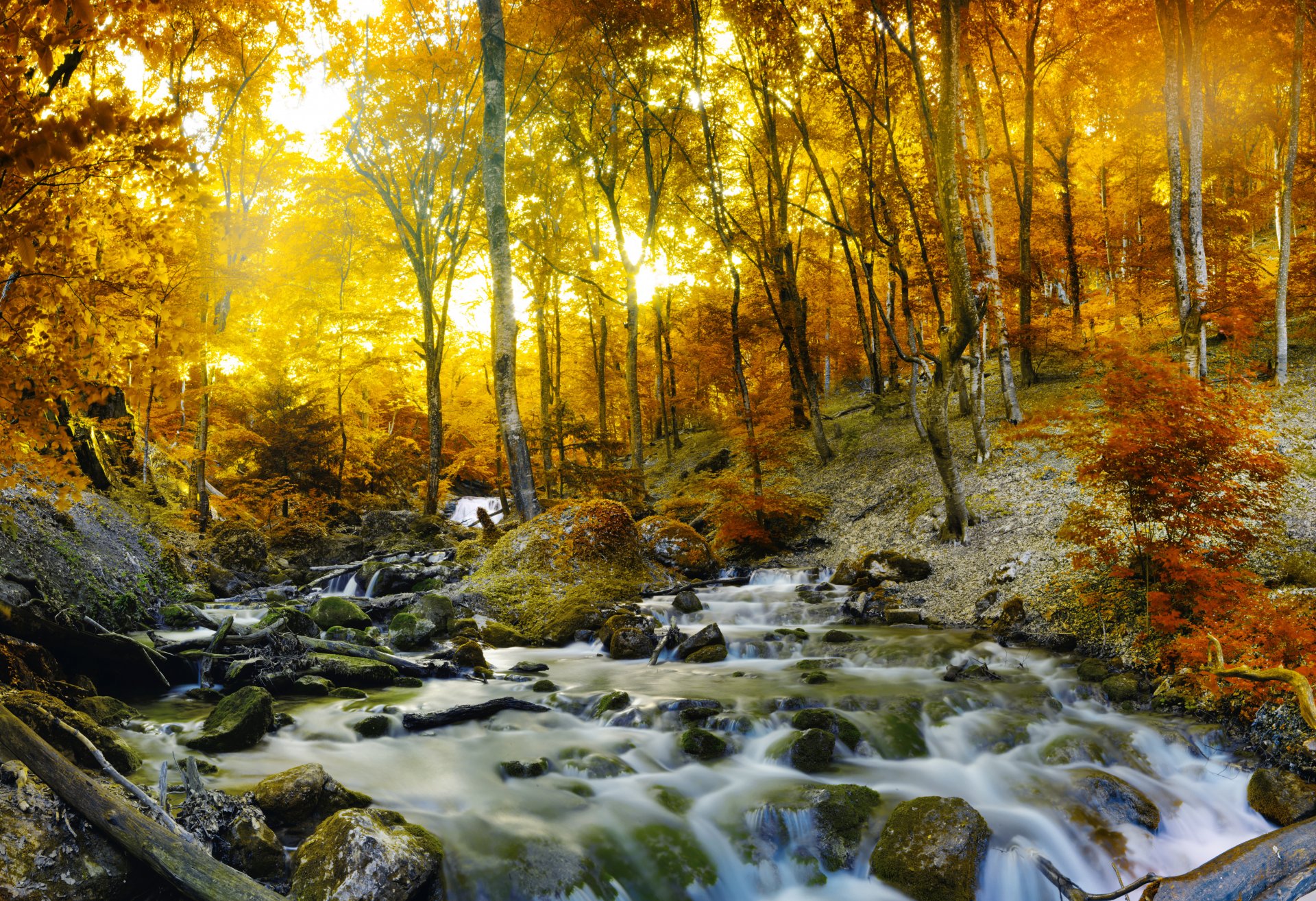 naturaleza paisaje bosque árboles río cascada otoño