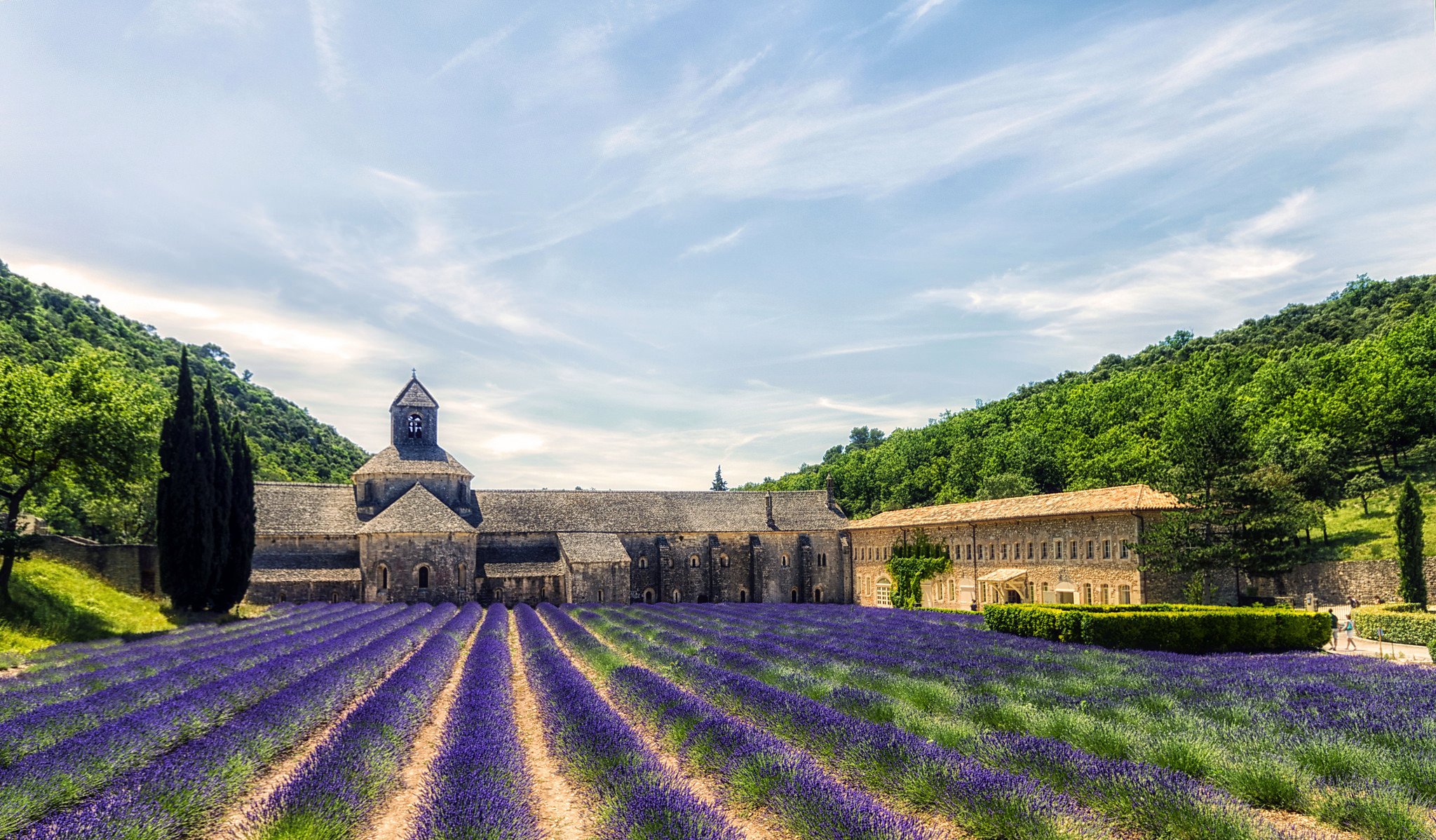 gordes provenza francia abbazia di senanc pendenza alberi fiori lavanda hdr