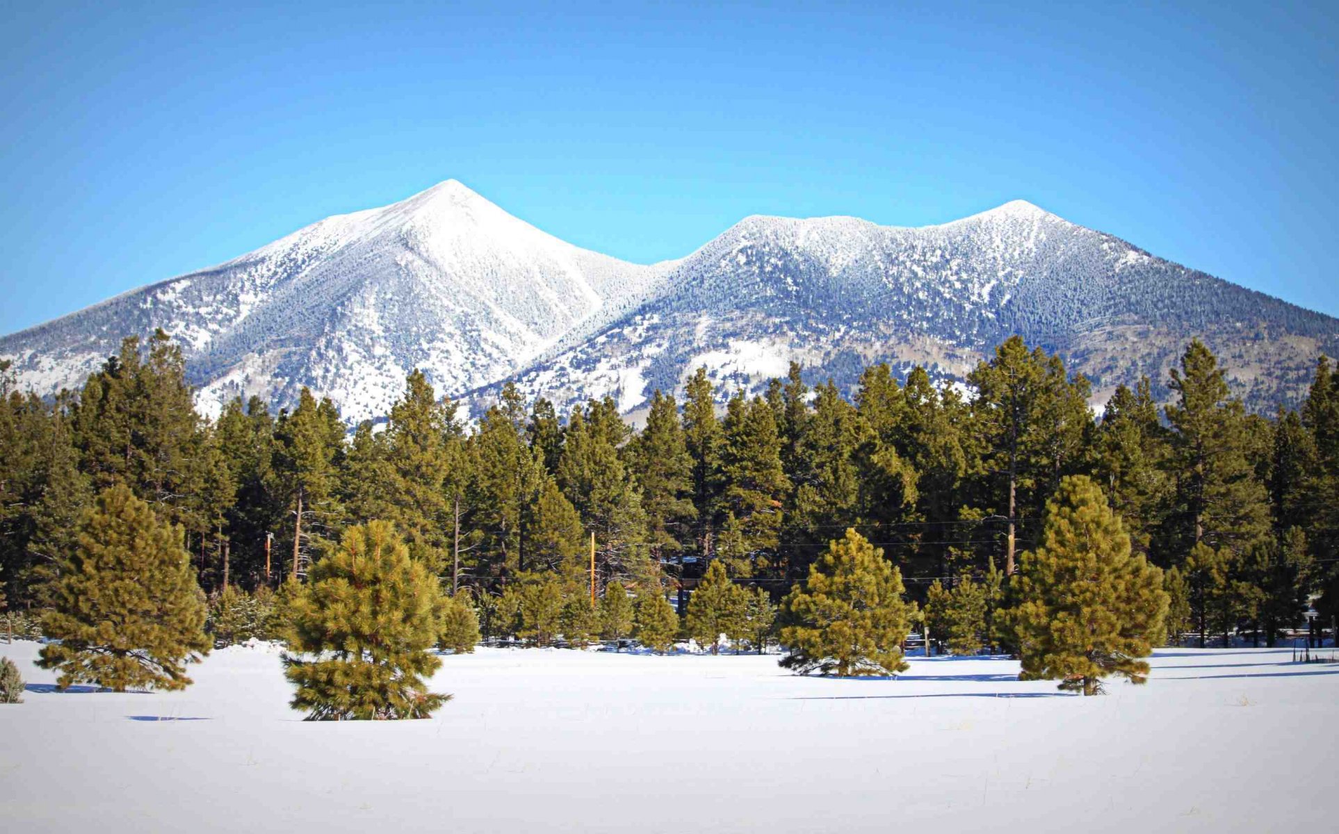 naturaleza montañas invierno bosque árboles nieve cumbre cielo