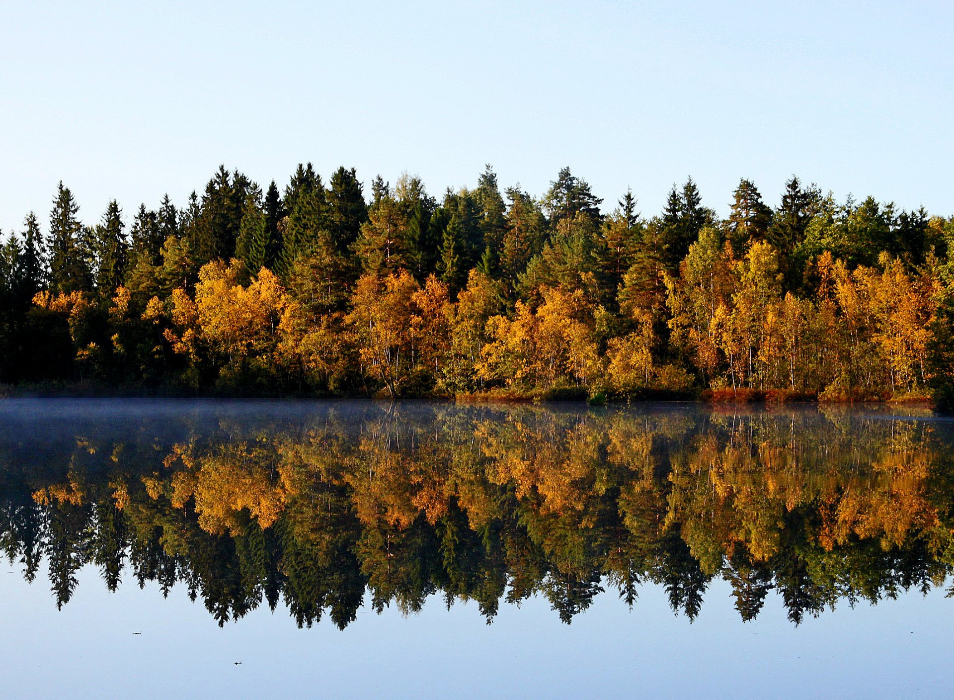 herbst september wald bäume see reflexionen